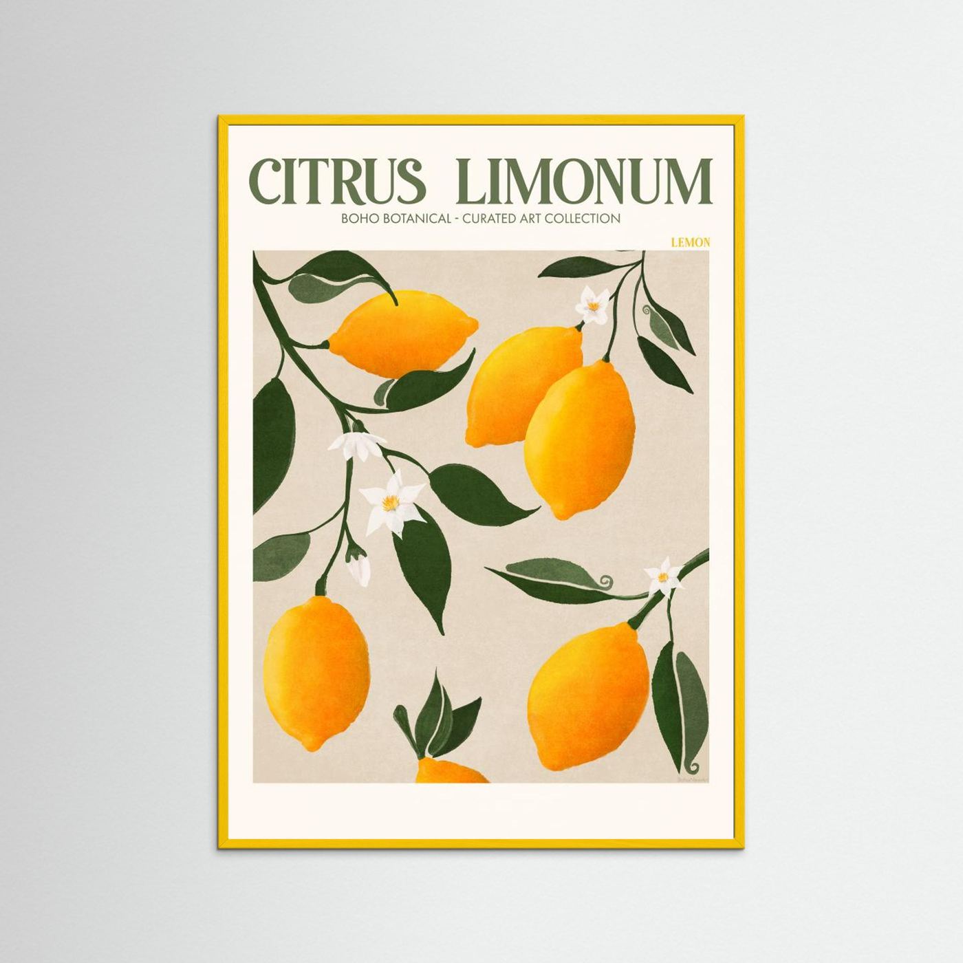 Citrus Limonum - Lemon by Emel Tunaboylu Fine Art Paper