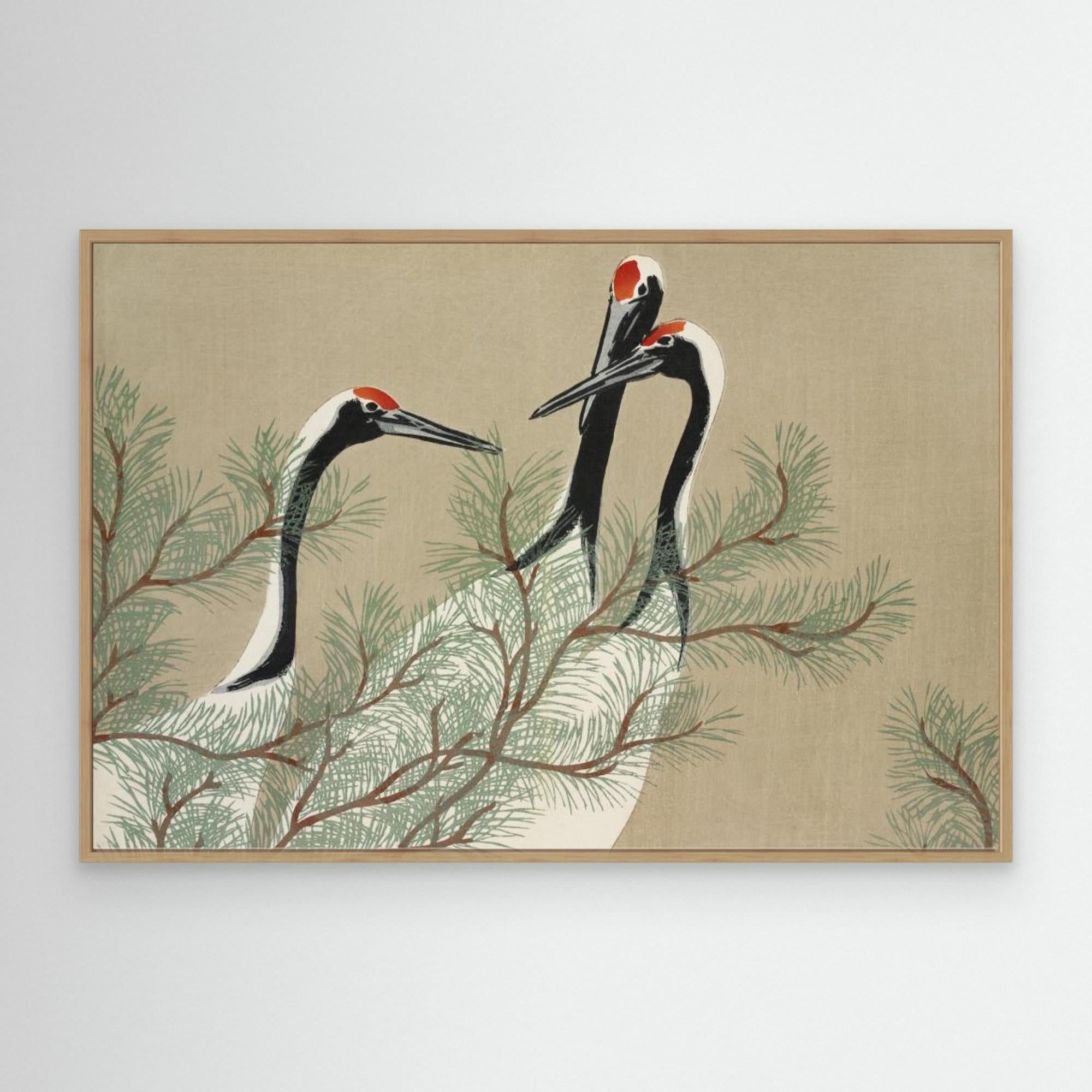 Cranes From Momoyogusa Canvas