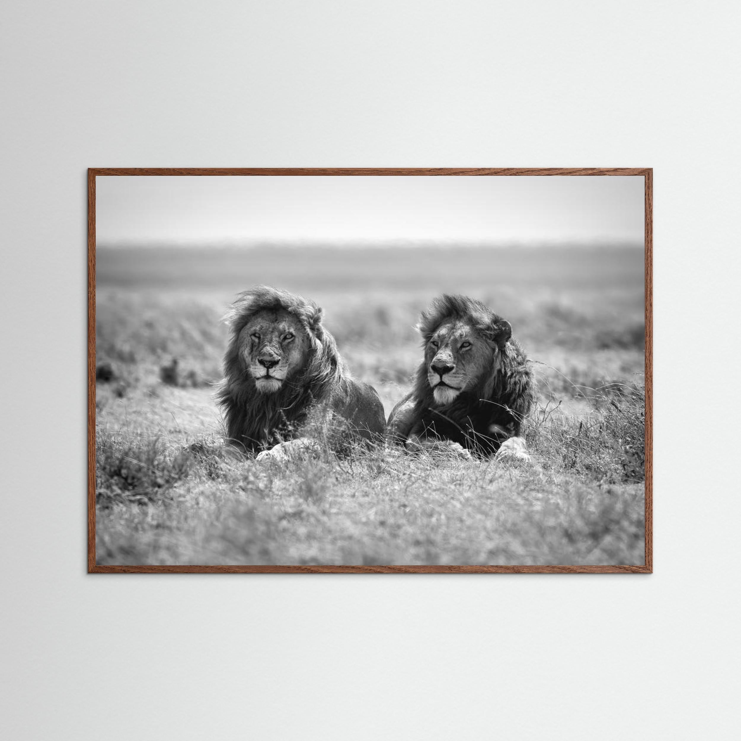 Two kings by Nicolás Merino Fine Art Paper 