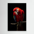 Portrait of Scarlet Macaw by Andi Halil Canvas