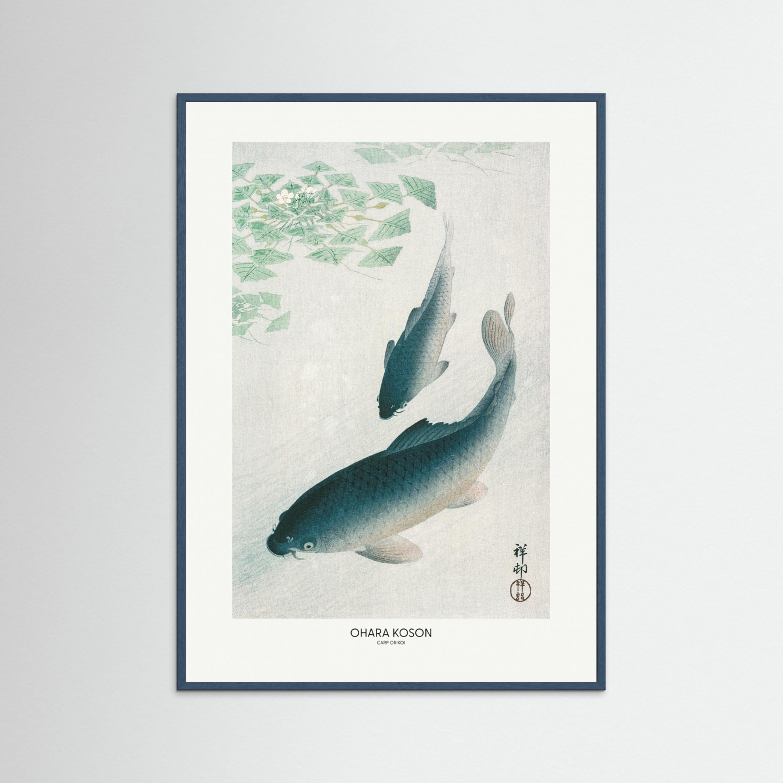 Carp Or Koi Fine Art Paper 
