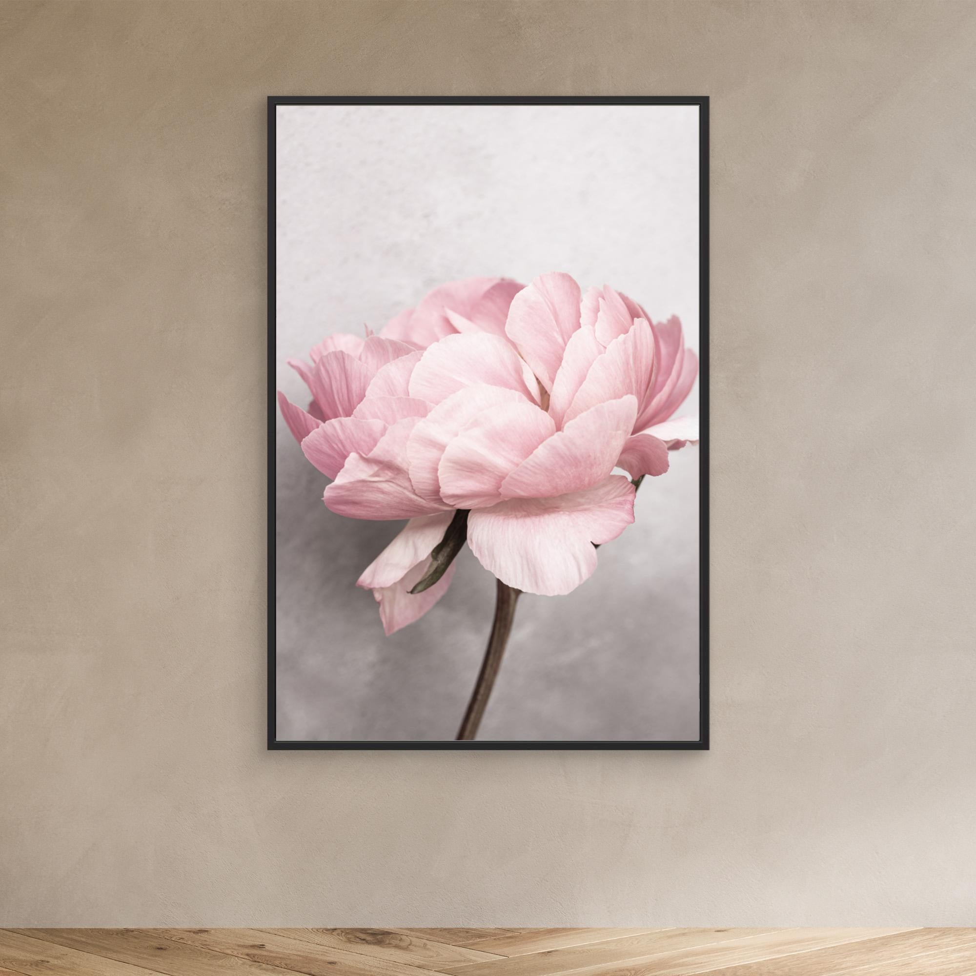 Peony by Kathrin Pienaar