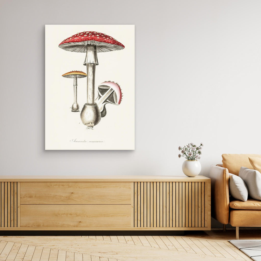 Amanita Muscaria Illustration. Medical Botany 1836 Canvas