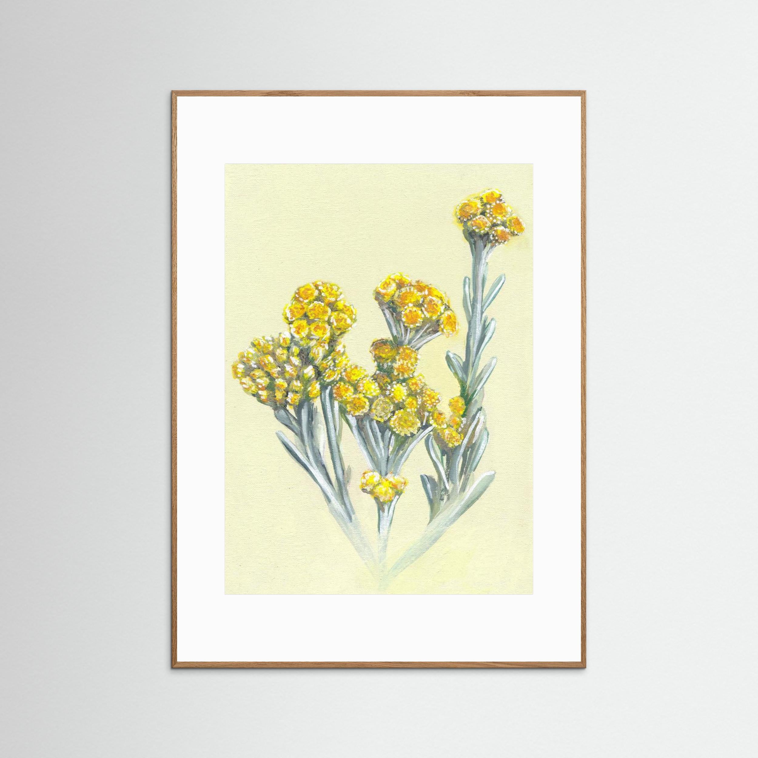Cape Gold by Viccy Wanliss Fine Art Paper