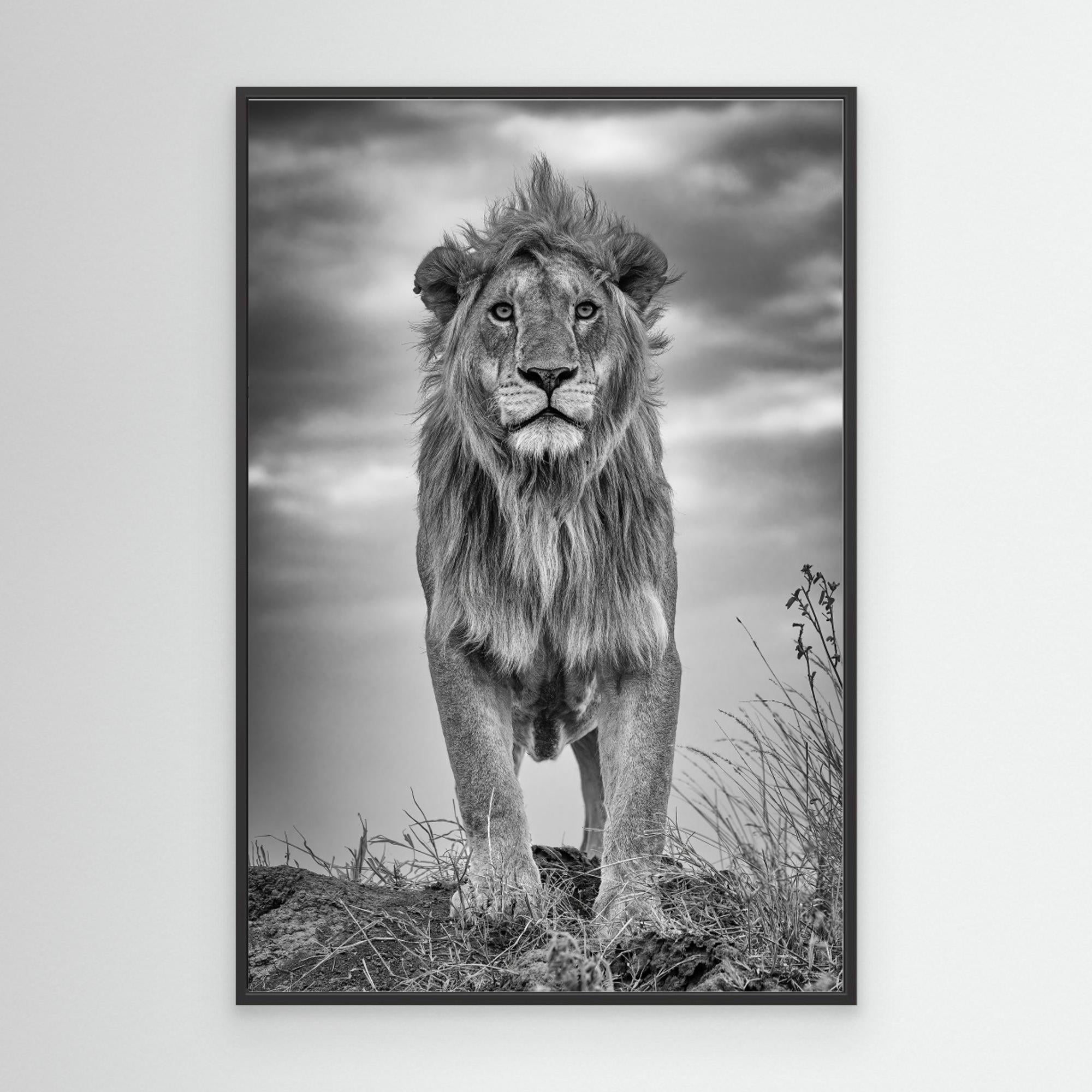 Encounter with the King by Ali Khataw Canvas