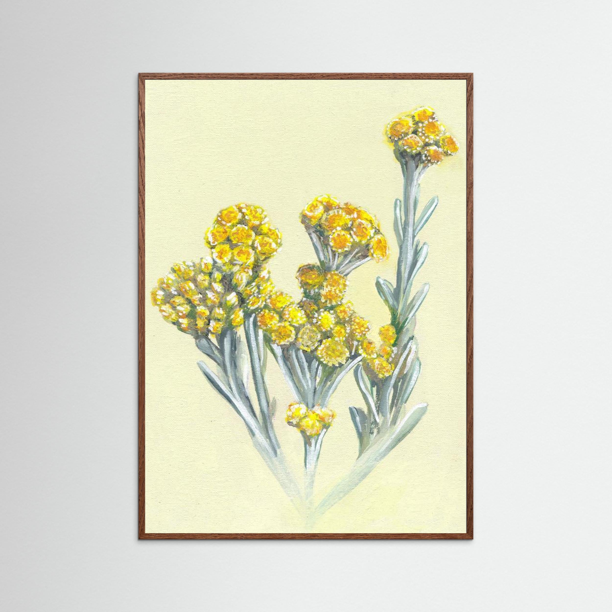 Cape Gold by Viccy Wanliss Fine Art Paper