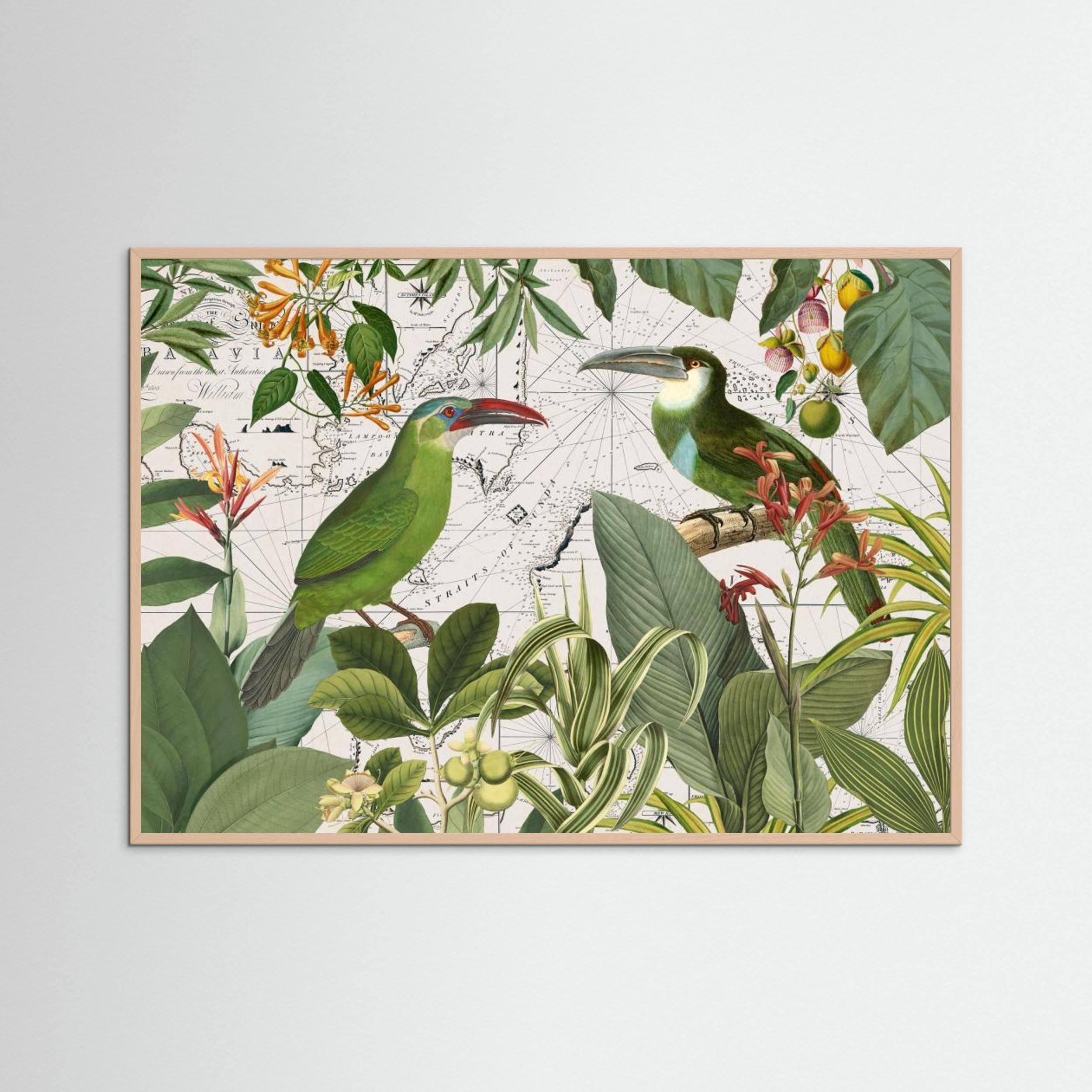 Parrots Nostalgic Journey 3 by Andrea Haase Fine Art Paper