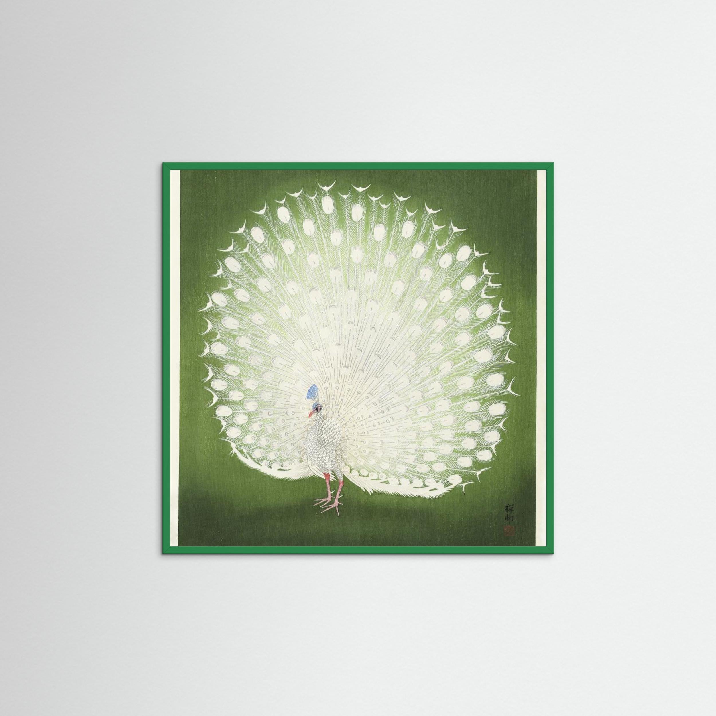 Peacock Fine Art Paper 