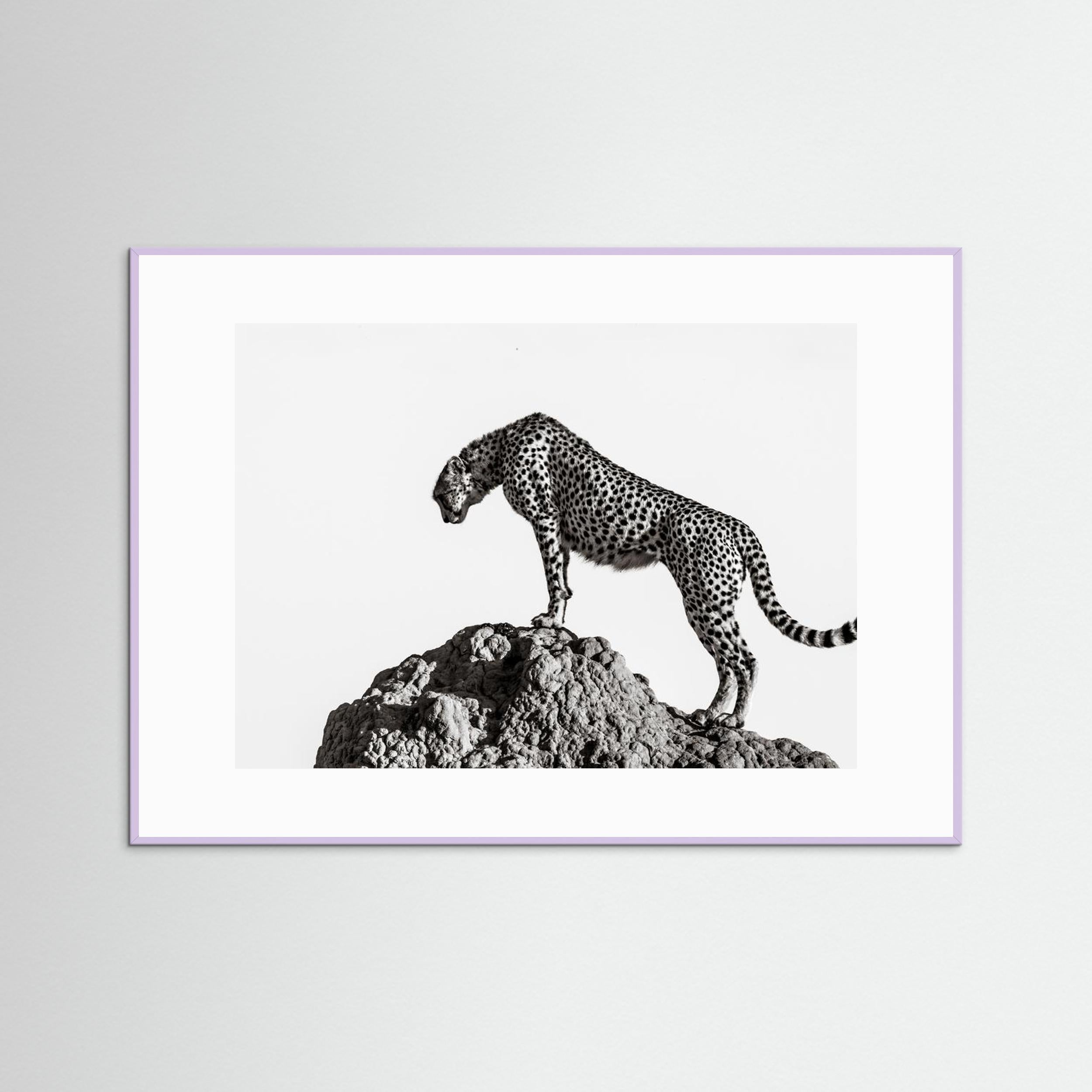 the hunter by Ali Fine Art Paper 