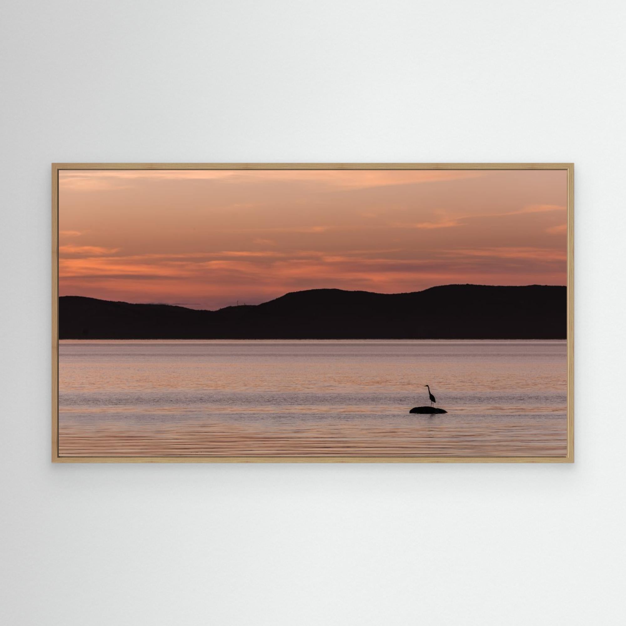 A peaceful wait by Patrick Dessureault Canvas