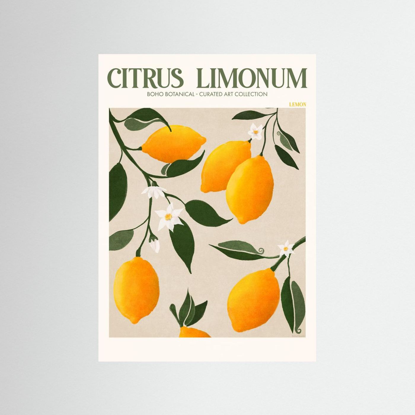 Citrus Limonum - Lemon by Emel Tunaboylu Fine Art Paper