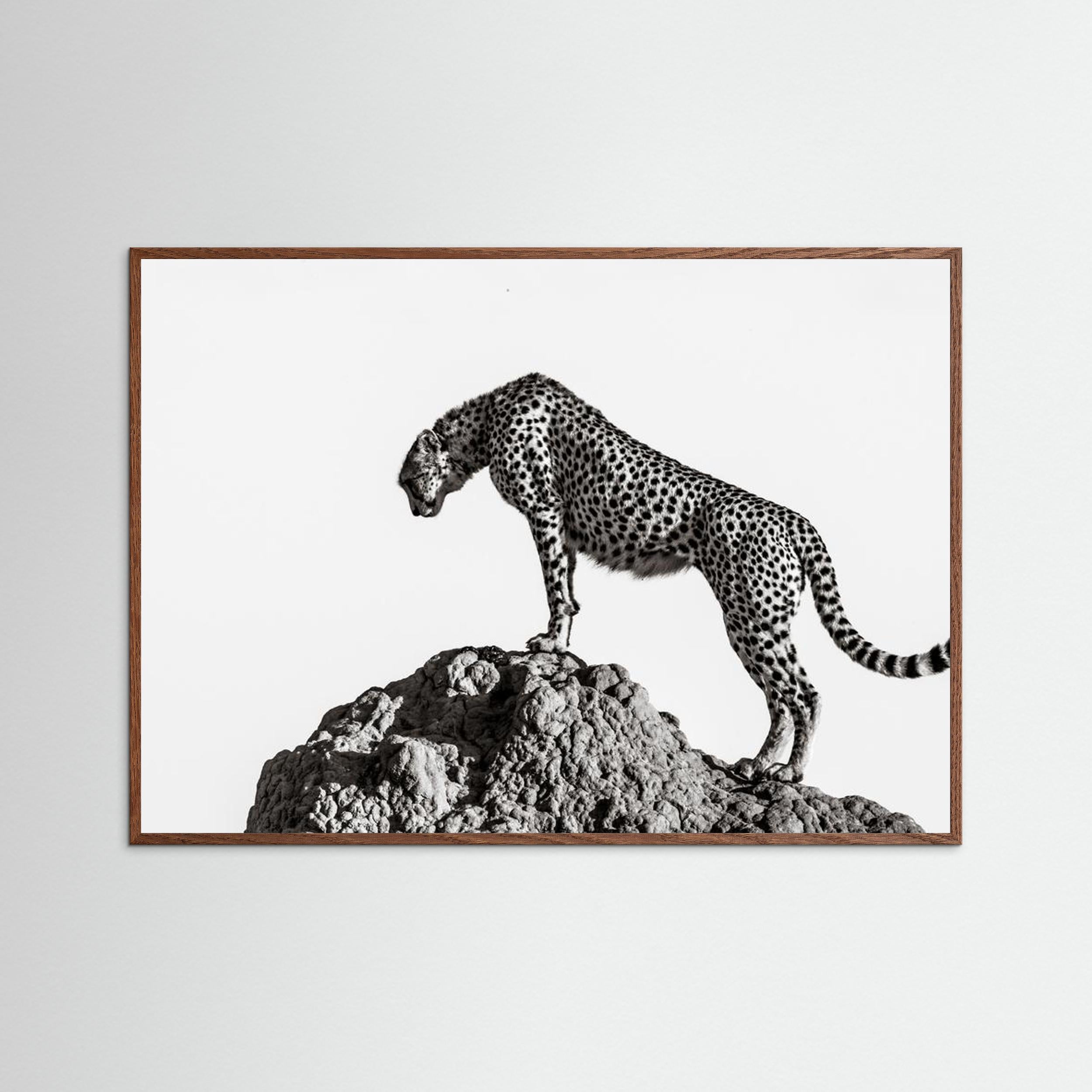 the hunter by Ali Fine Art Paper 