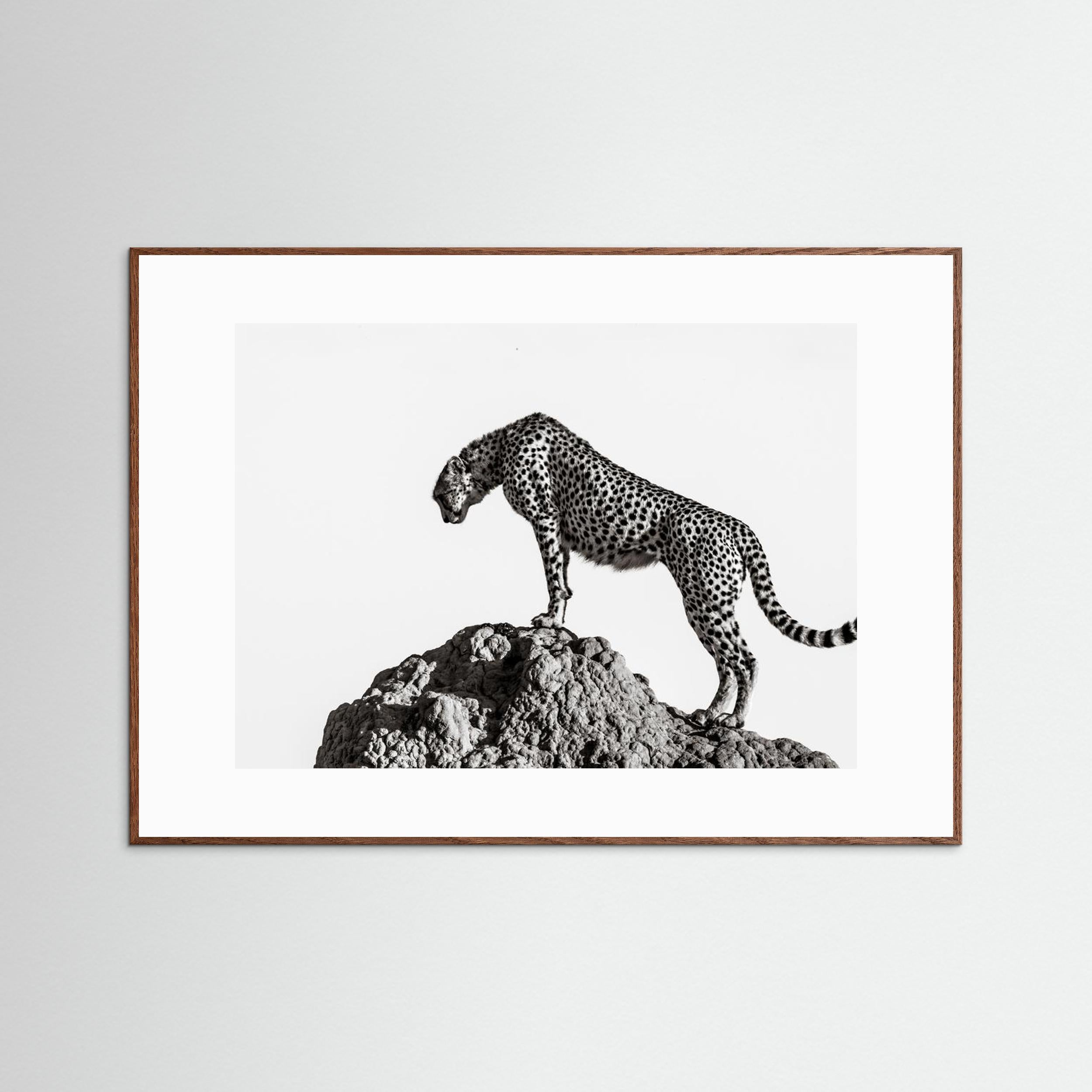 the hunter by Ali Fine Art Paper 