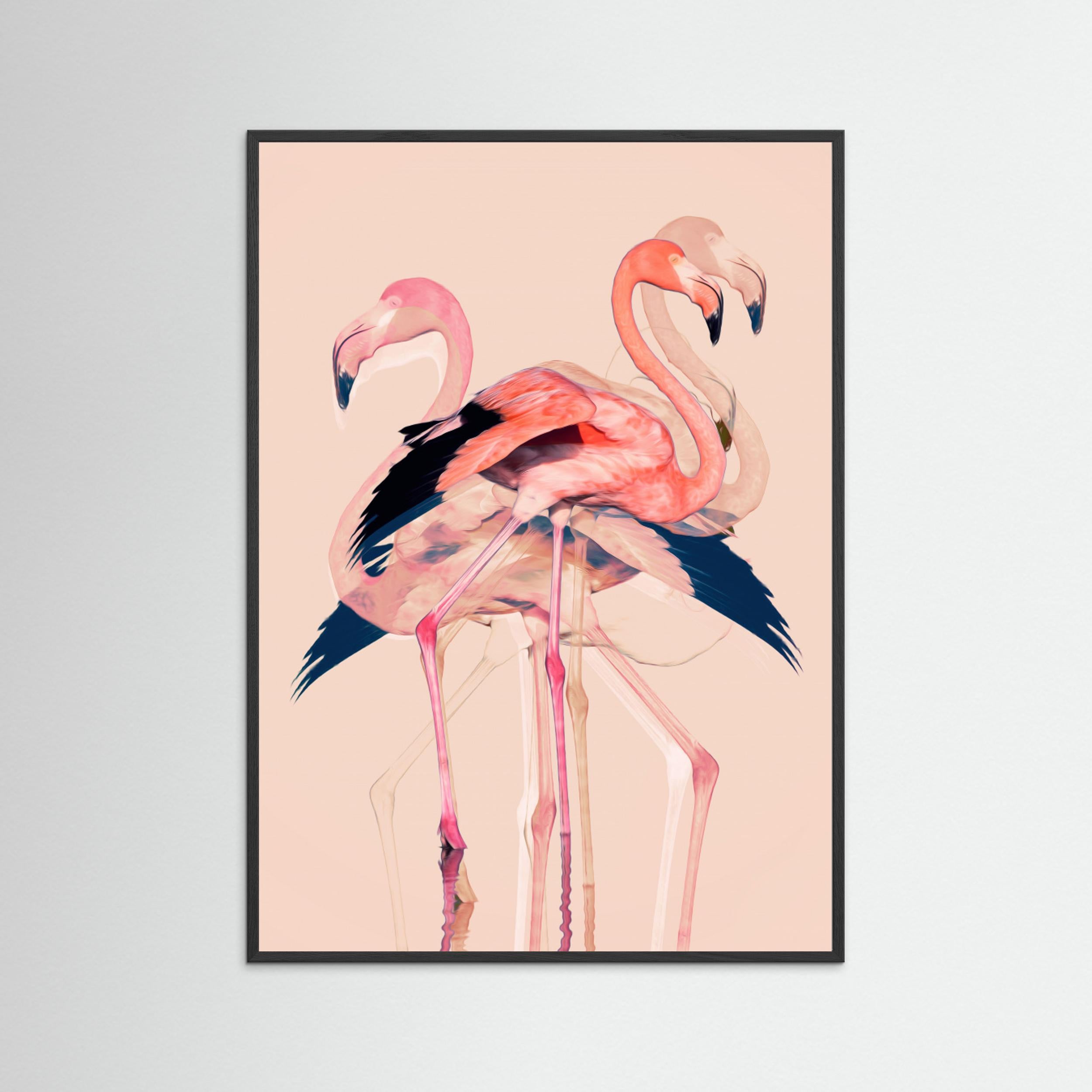 Flamingos nr. 3 by Baard Martinussen Fine Art Paper