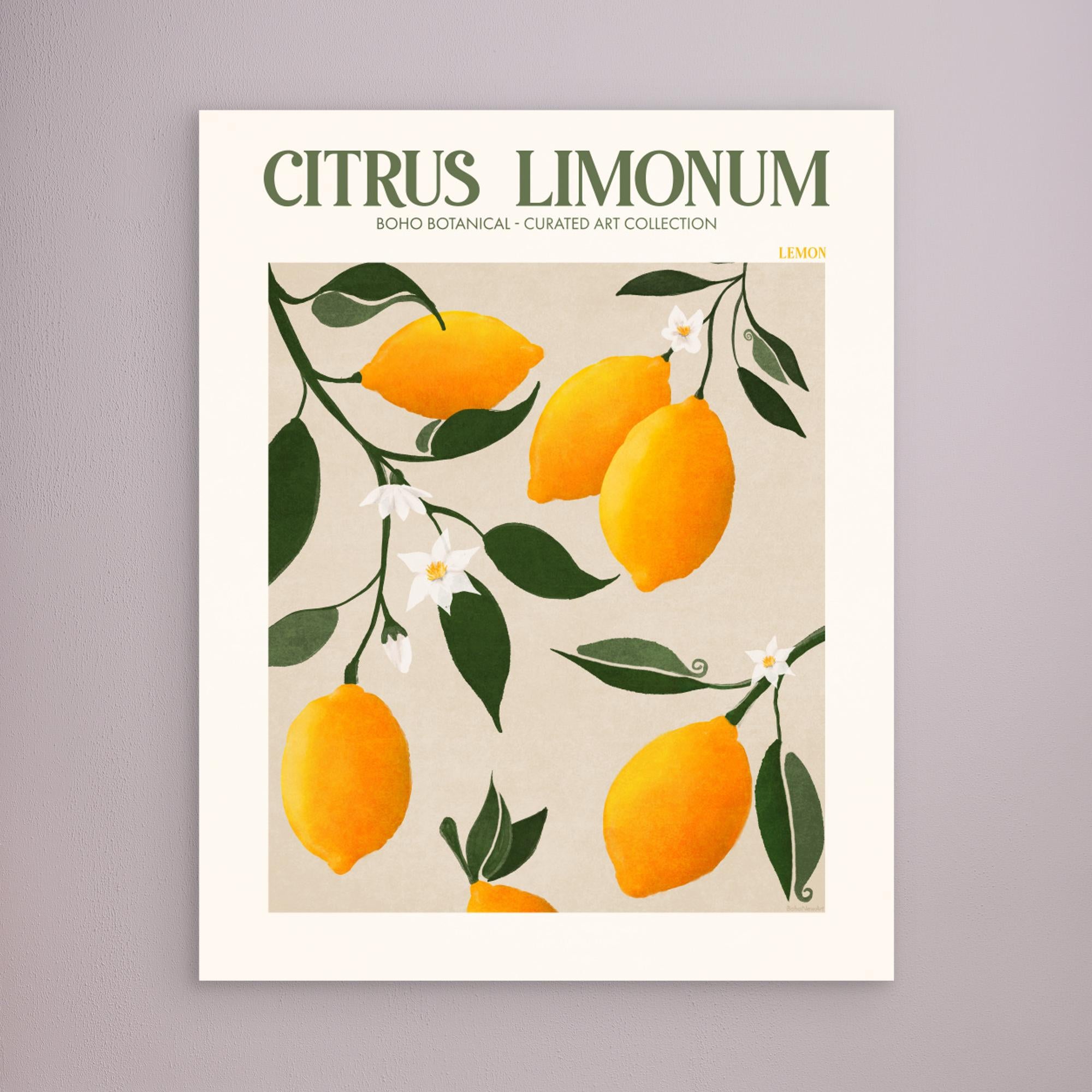 Citrus Limonum - Lemon by Emel Tunaboylu