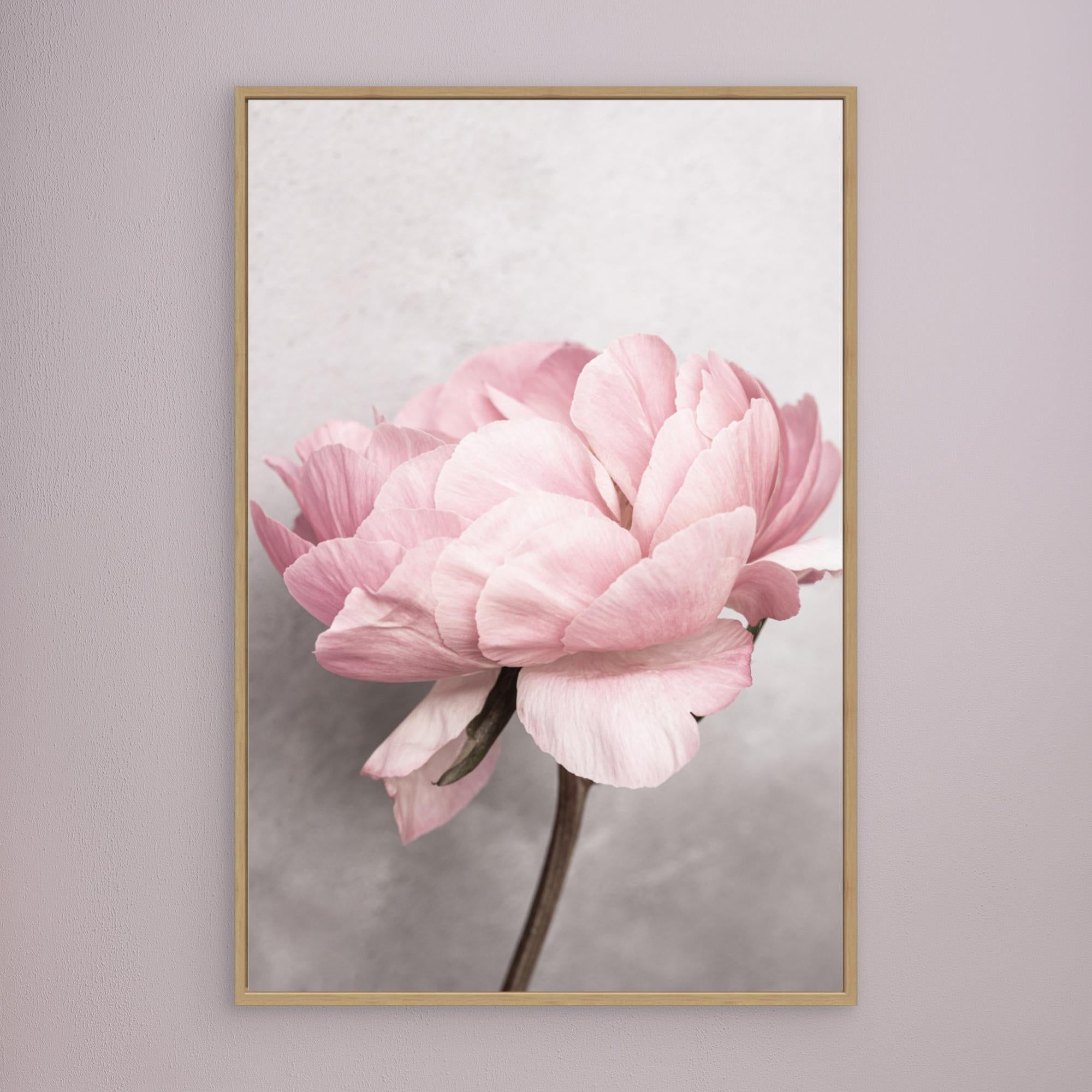 Peony by Kathrin Pienaar