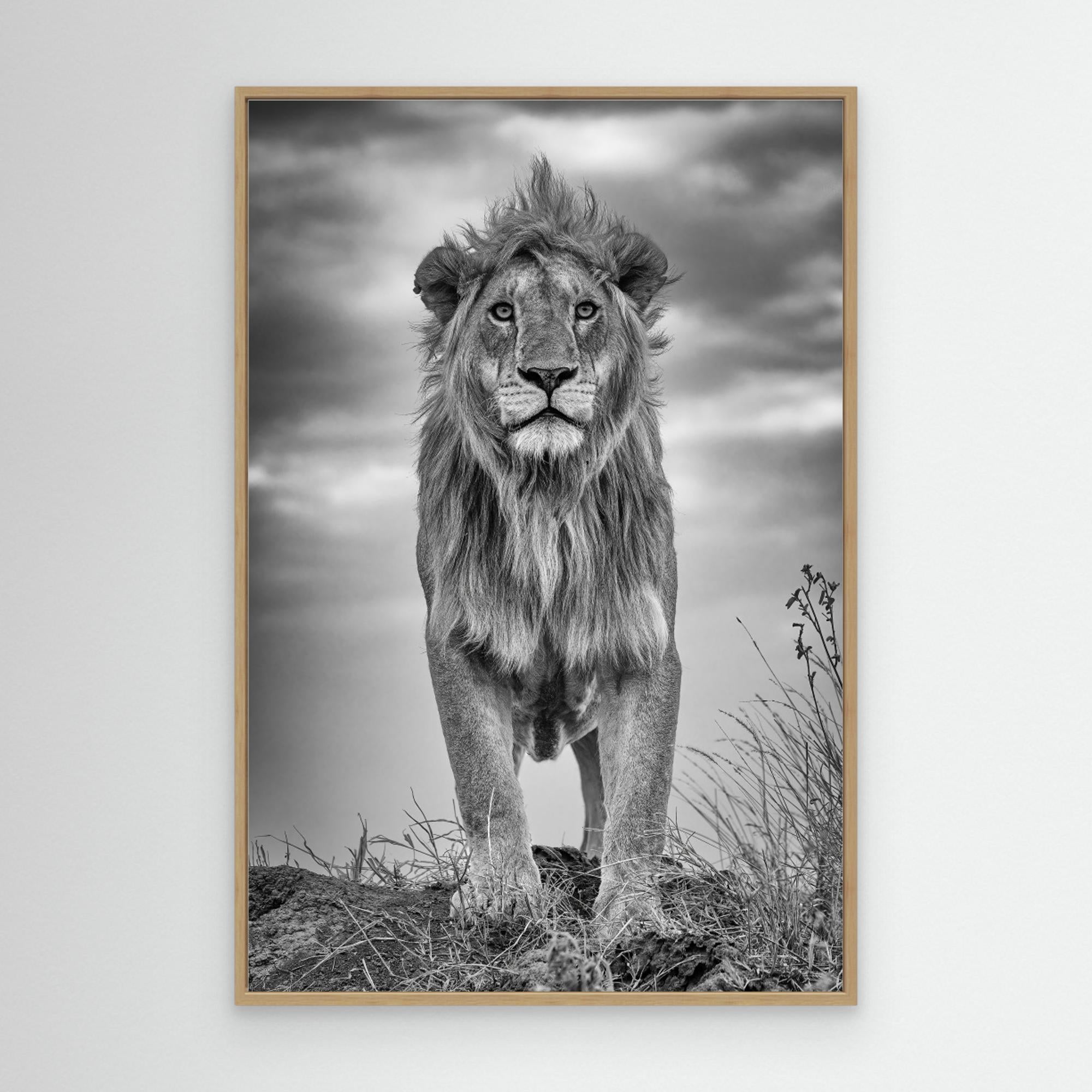 Encounter with the King by Ali Khataw Canvas