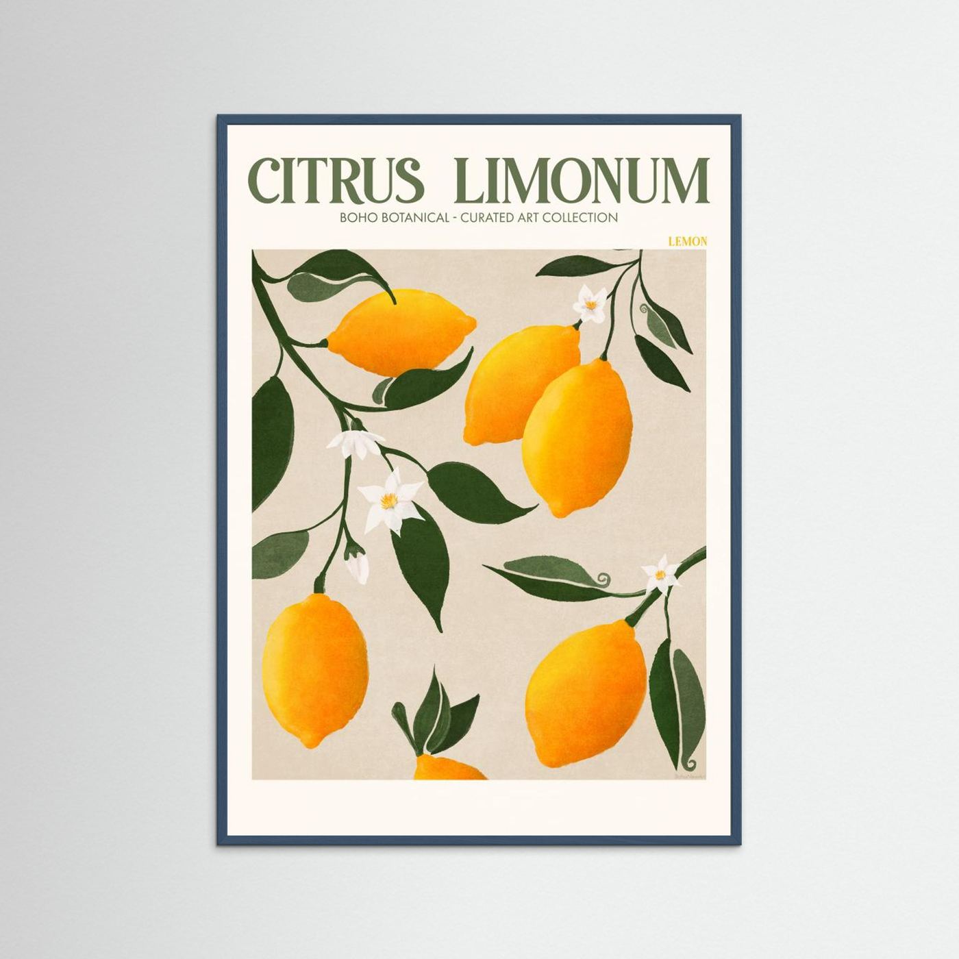Citrus Limonum - Lemon by Emel Tunaboylu Fine Art Paper