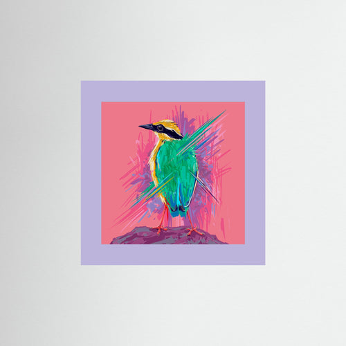 Bird Series   Indian Pitta by Rohan Dahotre Fine Art Paper