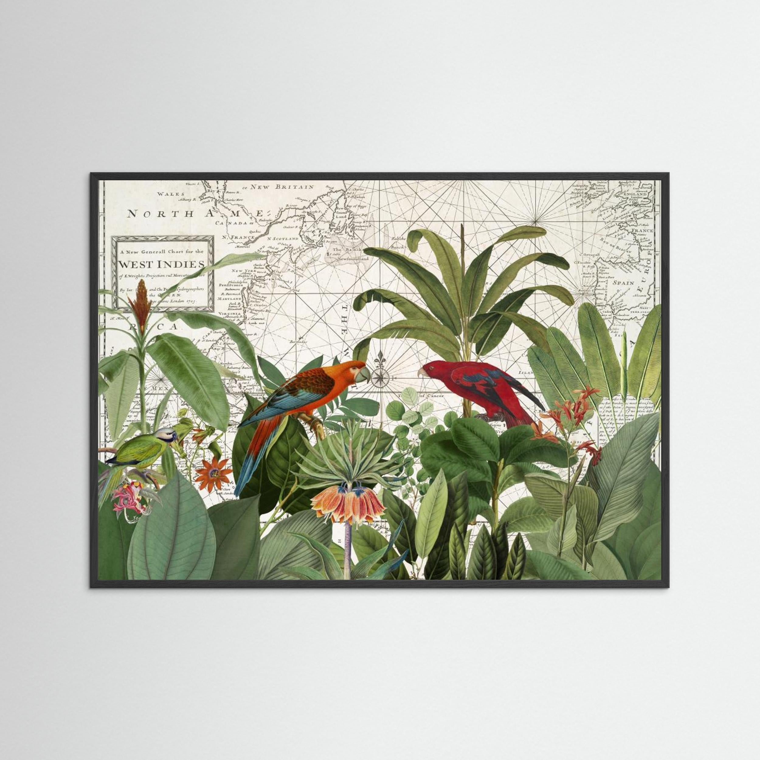 Exotic Wildlife 006 by Andrea Haase