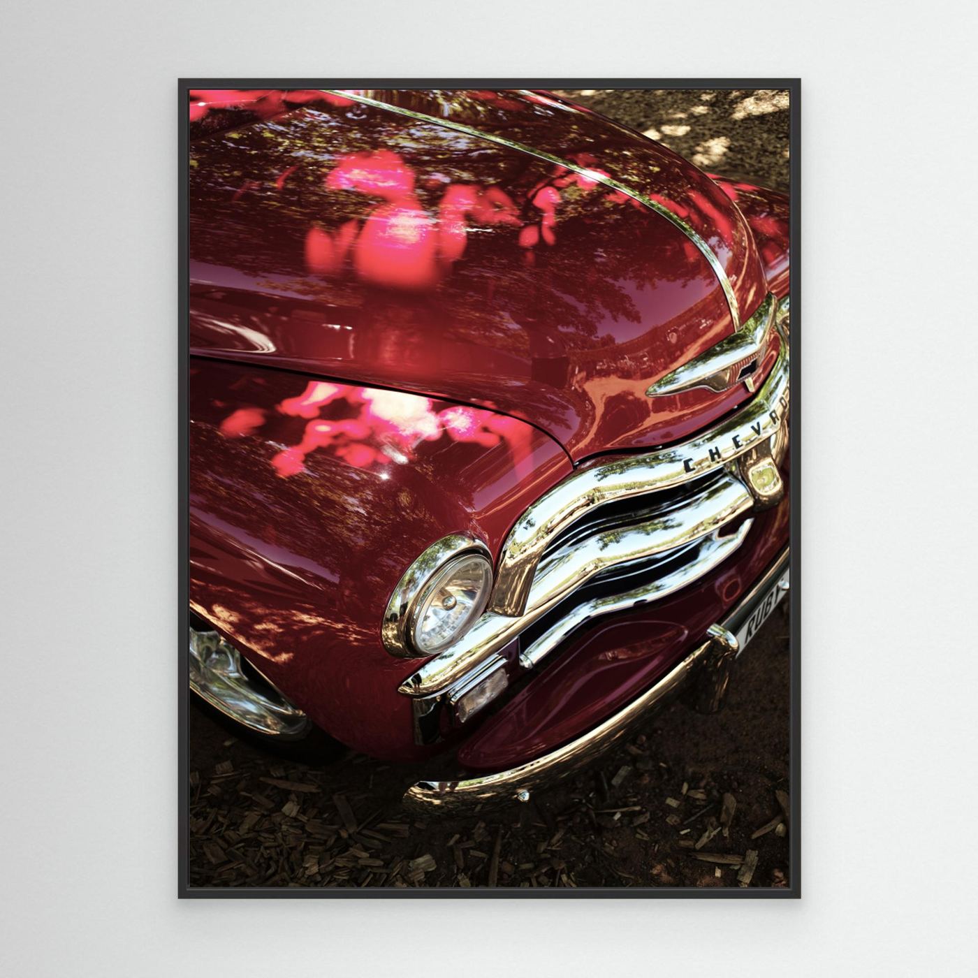 Chevi No1 by Shot By Clint Canvas