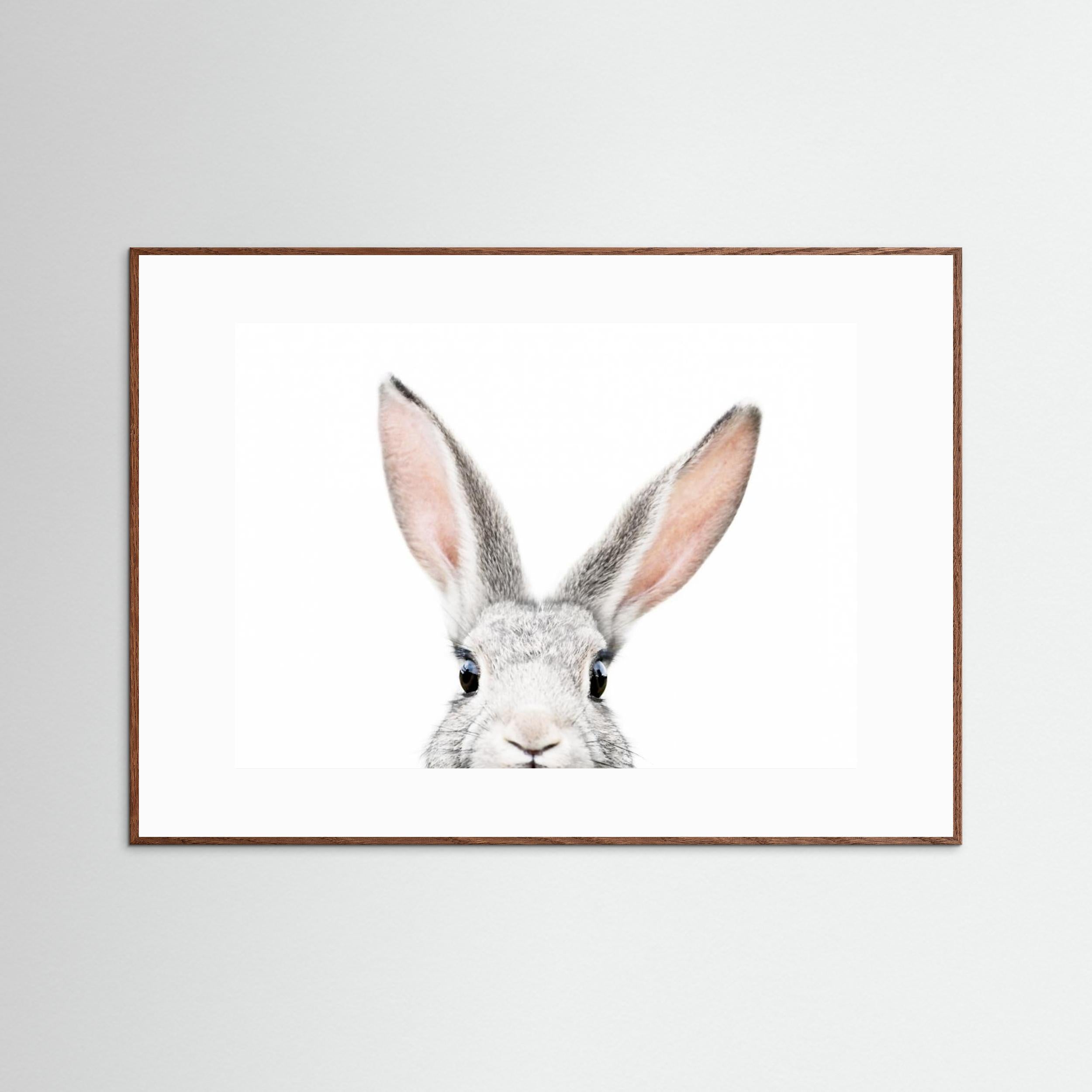 Peeking Bunny by Kathrin Pienaar Fine Art Paper 