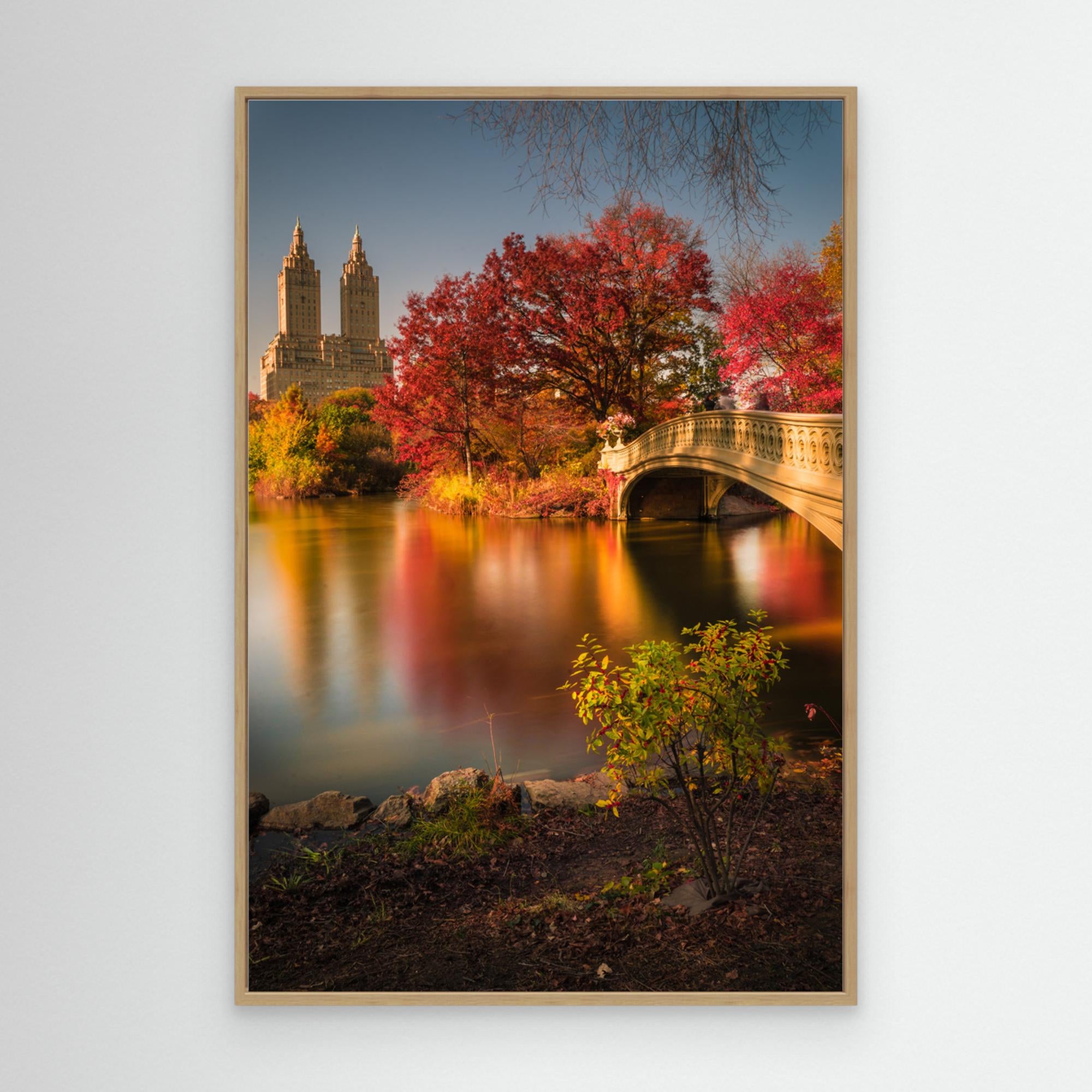 Fall in Central Park by Christopher R. Veizaga Canvas