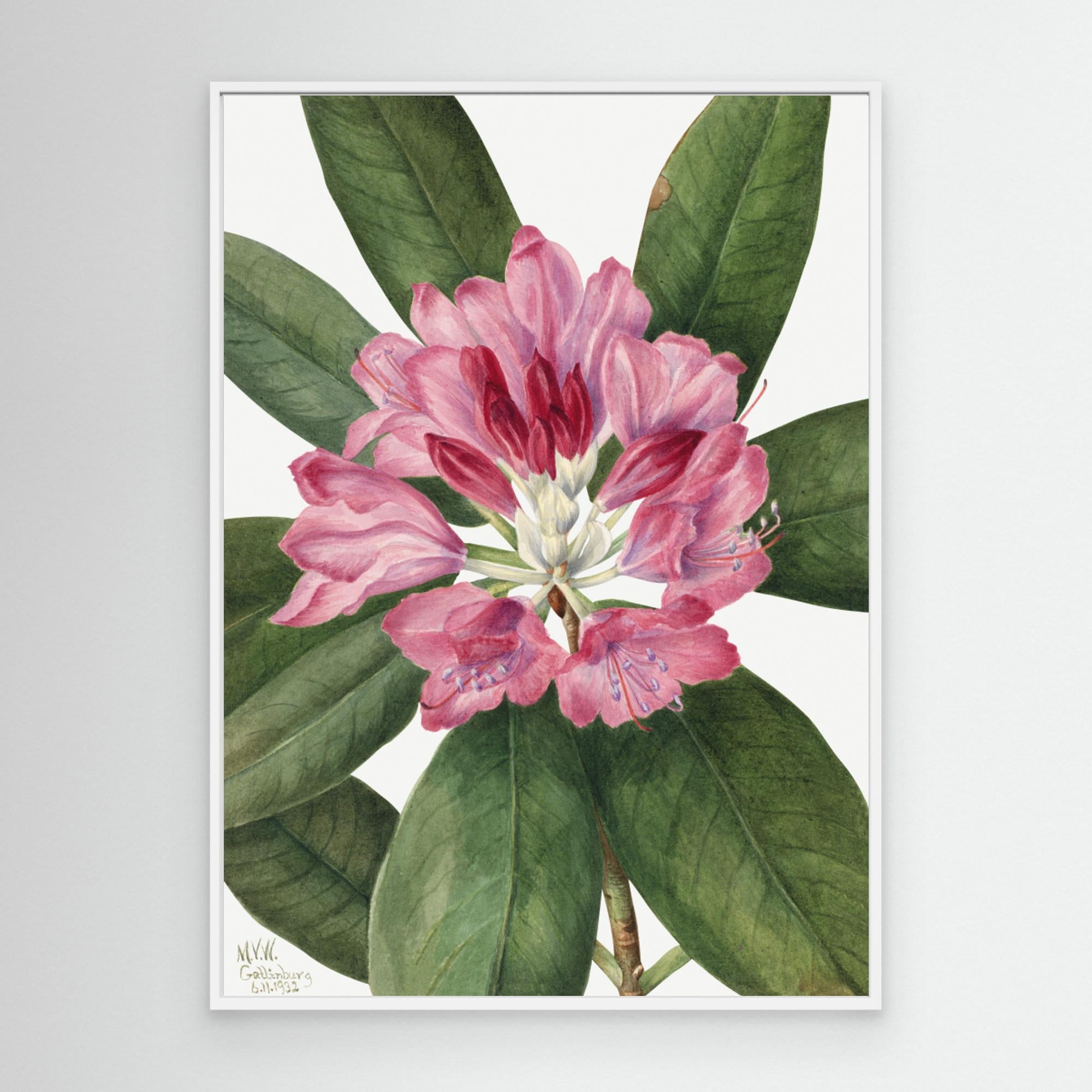 Mountain Rose Bay (1932) by Pictufy