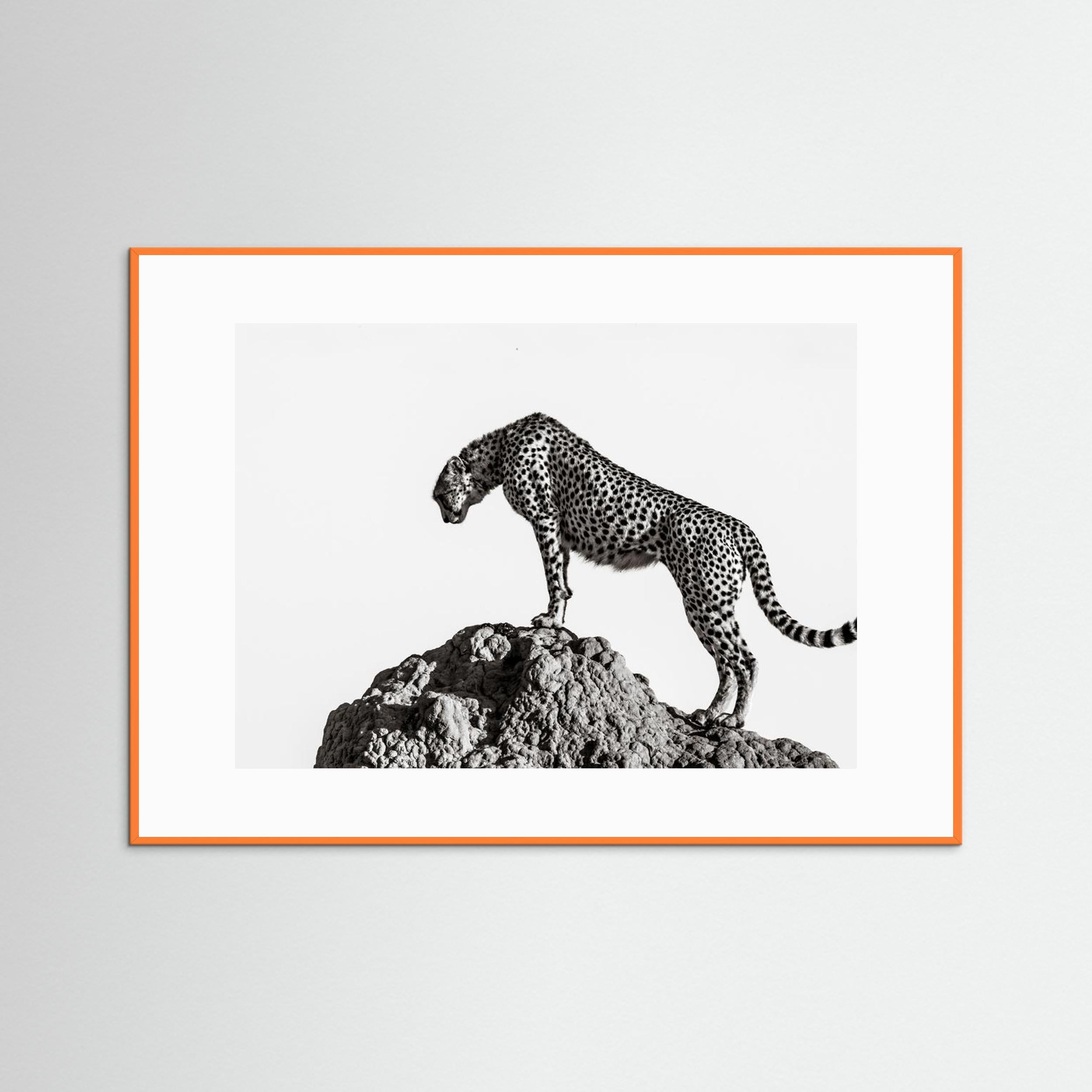 the hunter by Ali Fine Art Paper 