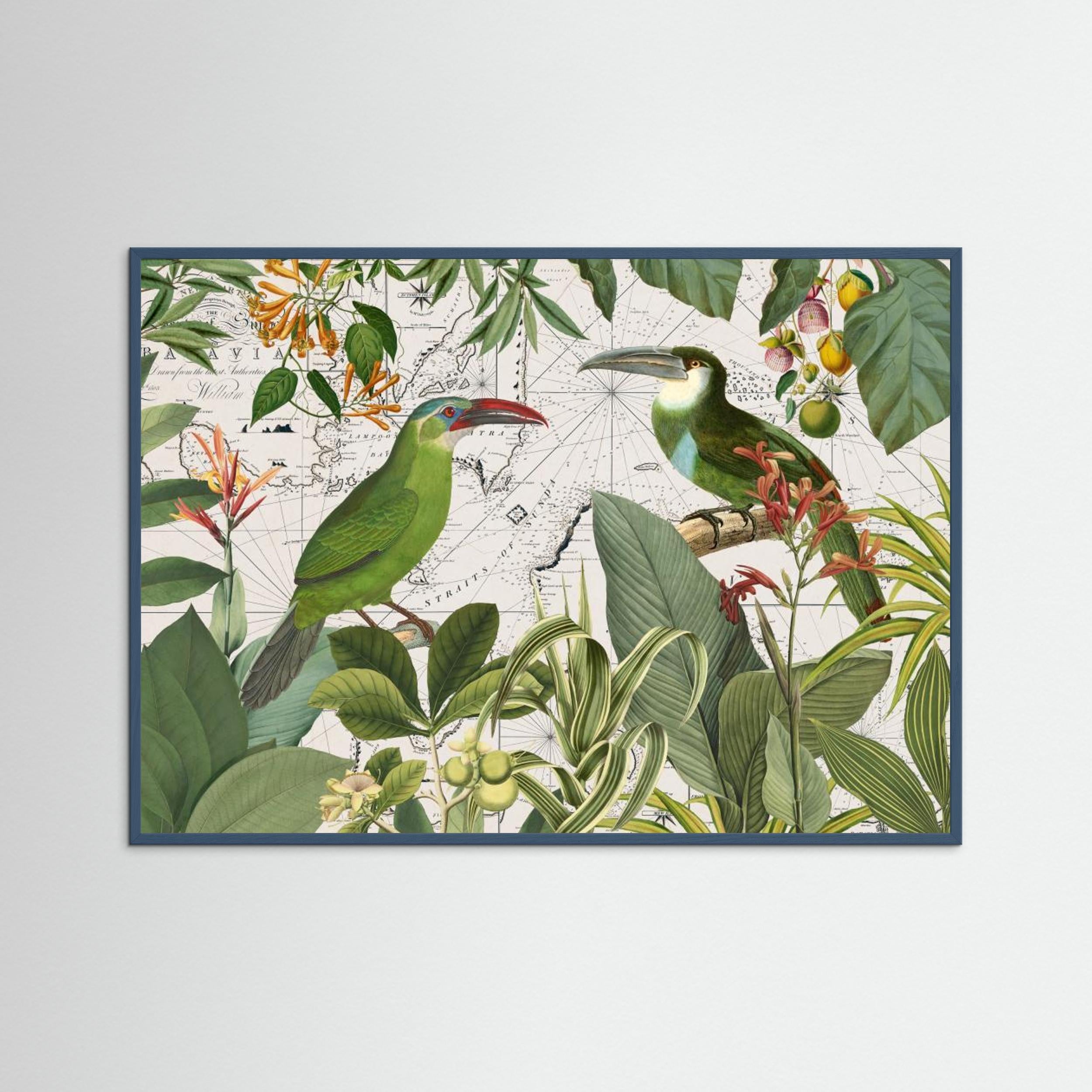 Parrots Nostalgic Journey 3 by Andrea Haase Fine Art Paper