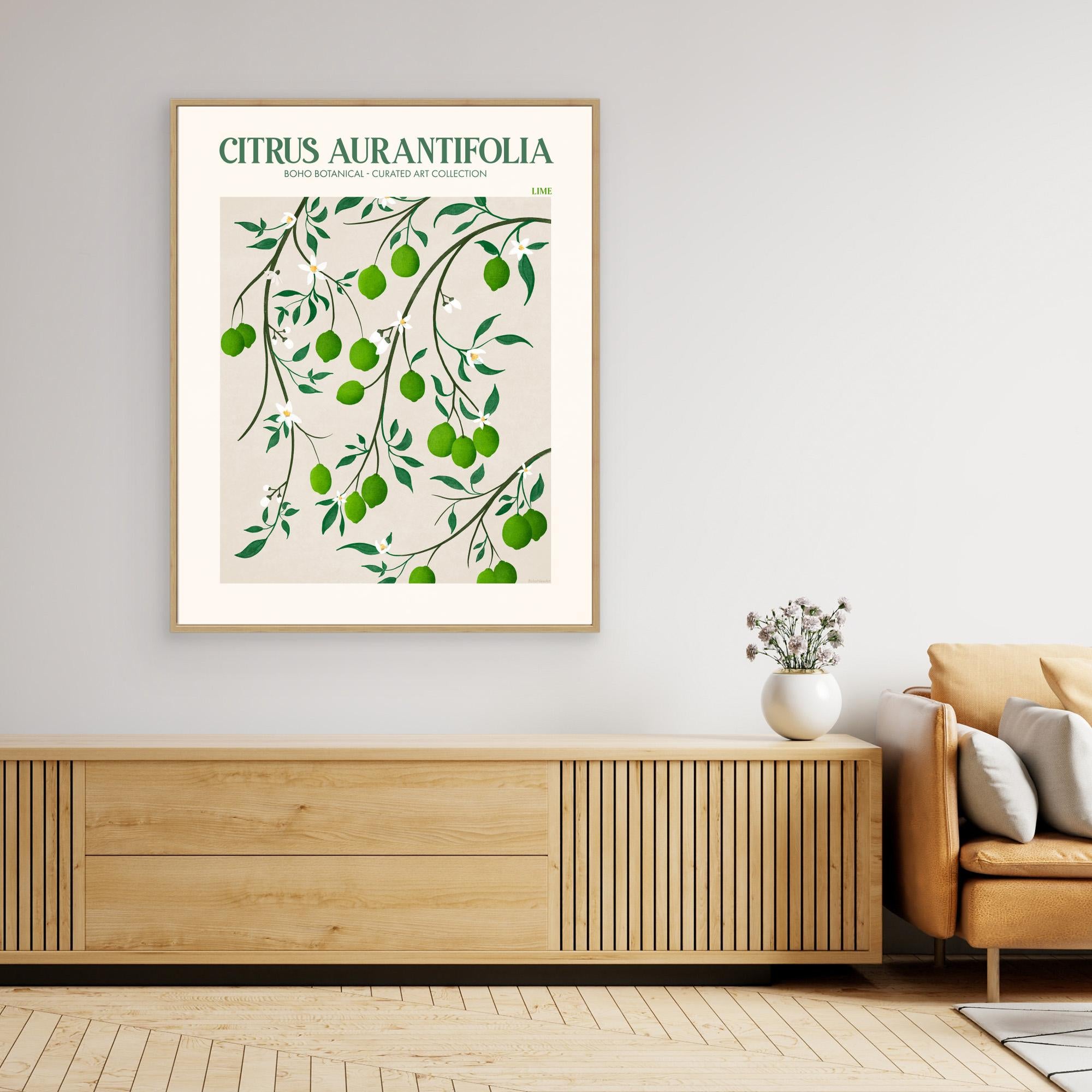 Citrus Aurantifolia - Lime by Emel Tunaboylucan Canvas
