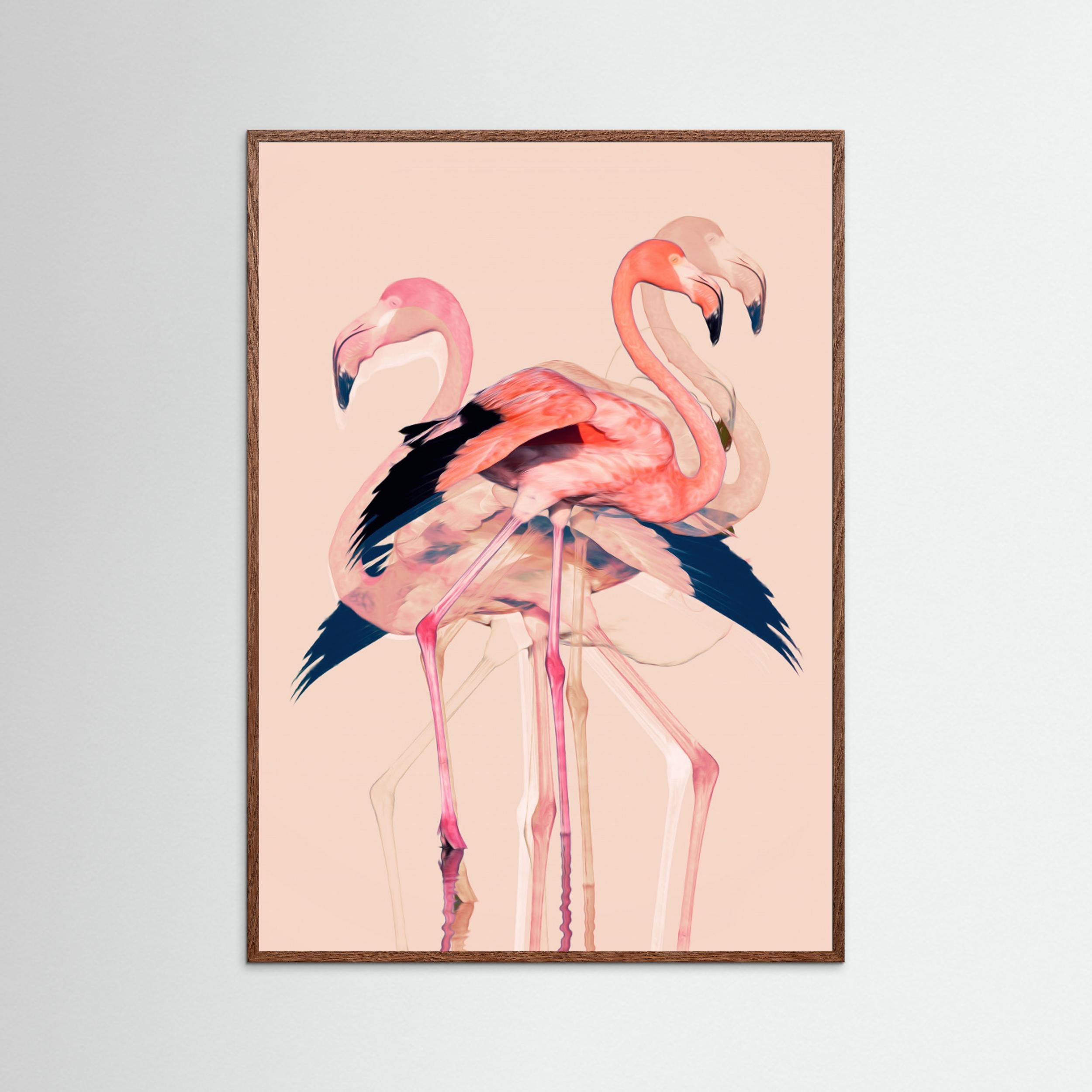 Flamingos nr. 3 by Baard Martinussen Fine Art Paper