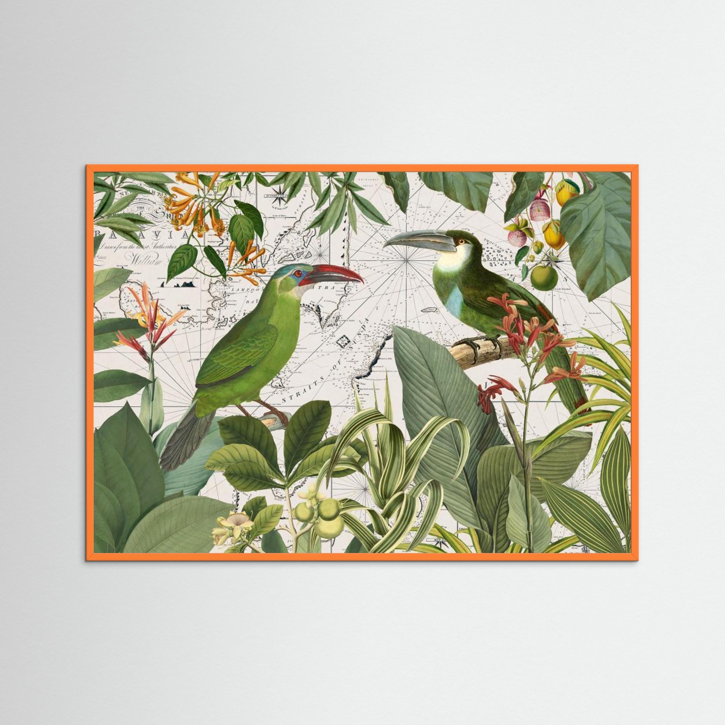 Parrots Nostalgic Journey 3 by Andrea Haase Fine Art Paper