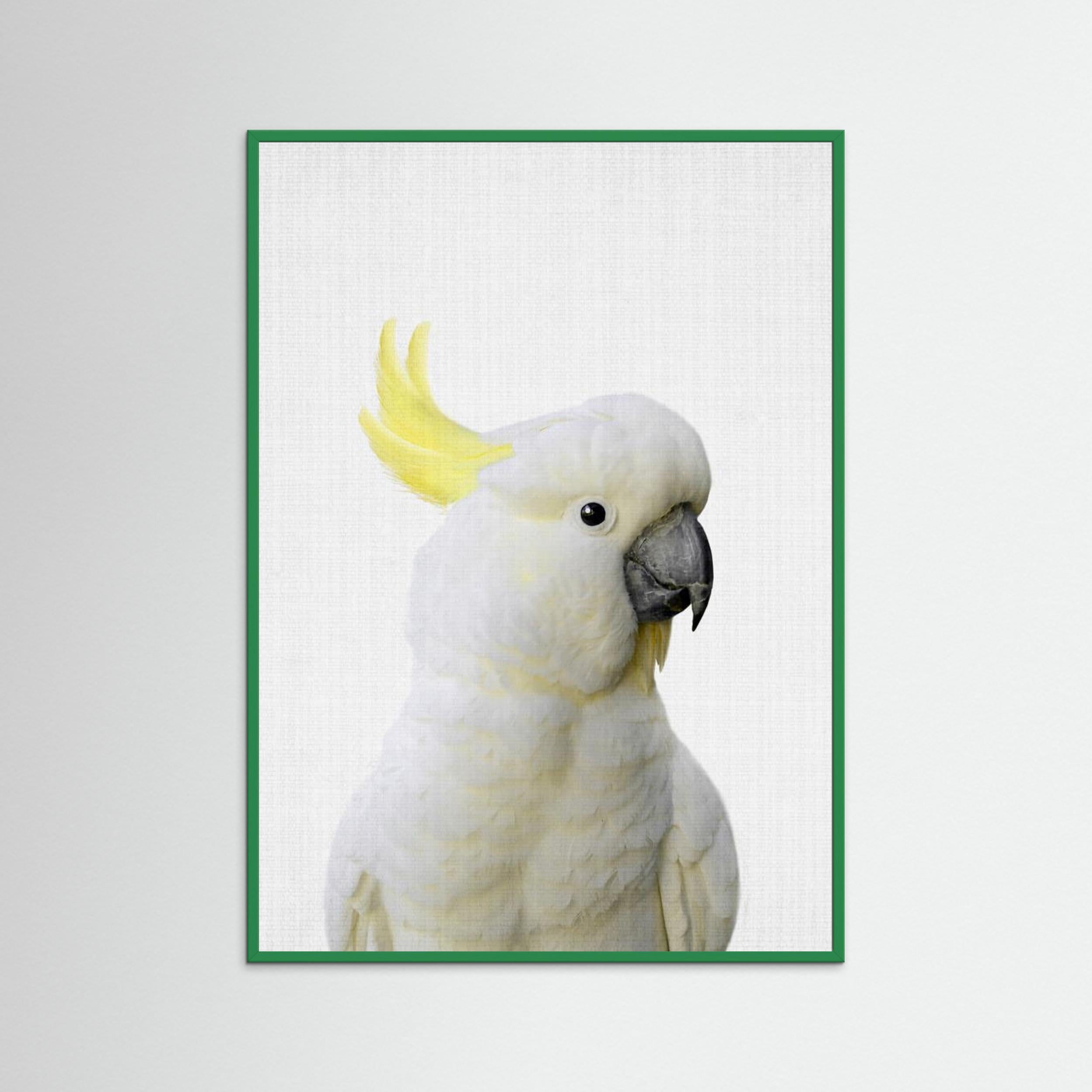 Peekaboo Cockatoo by Lila &Amp; Lola Fine Art Paper
