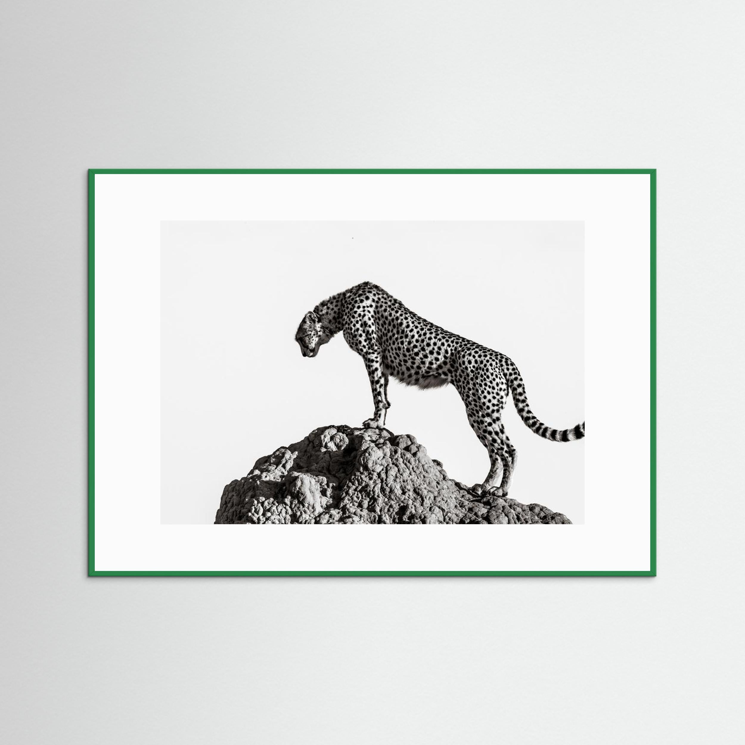 the hunter by Ali Fine Art Paper 