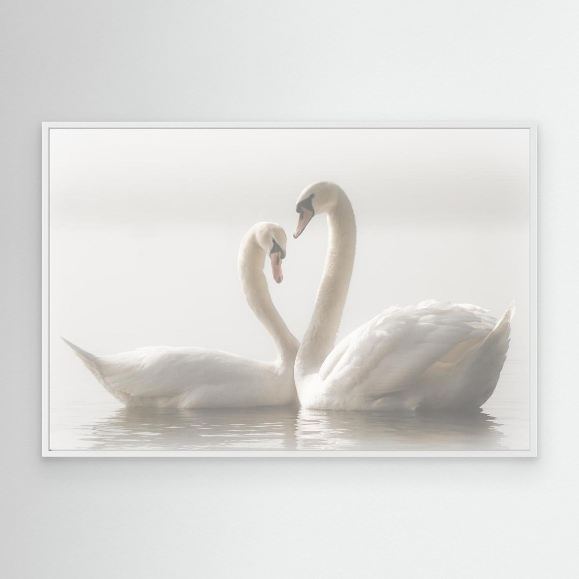 Forever by Monika Schwager Canvas