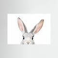 Peeking Bunny by Kathrin Pienaar Fine Art Paper 