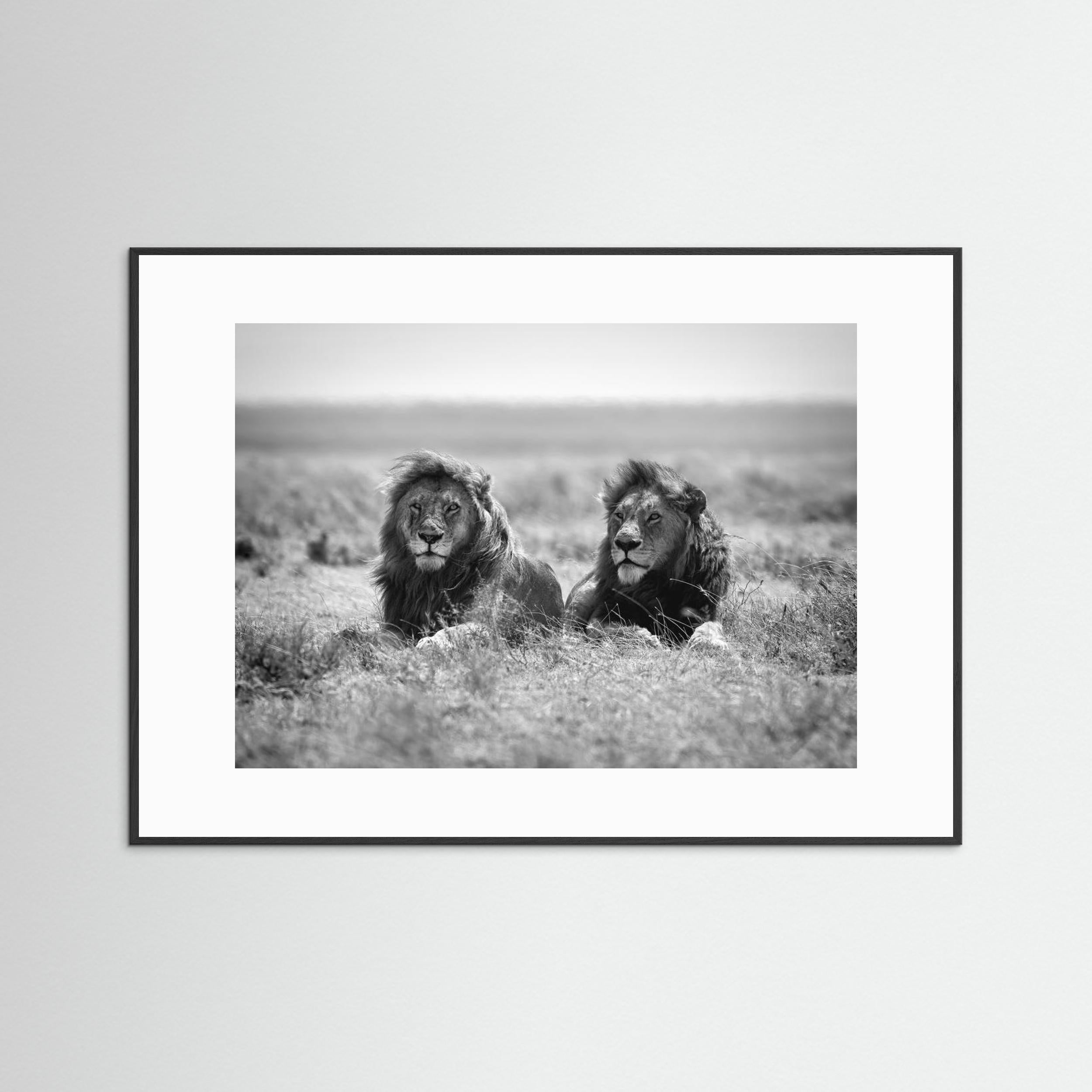 Two kings by Nicolás Merino Fine Art Paper 