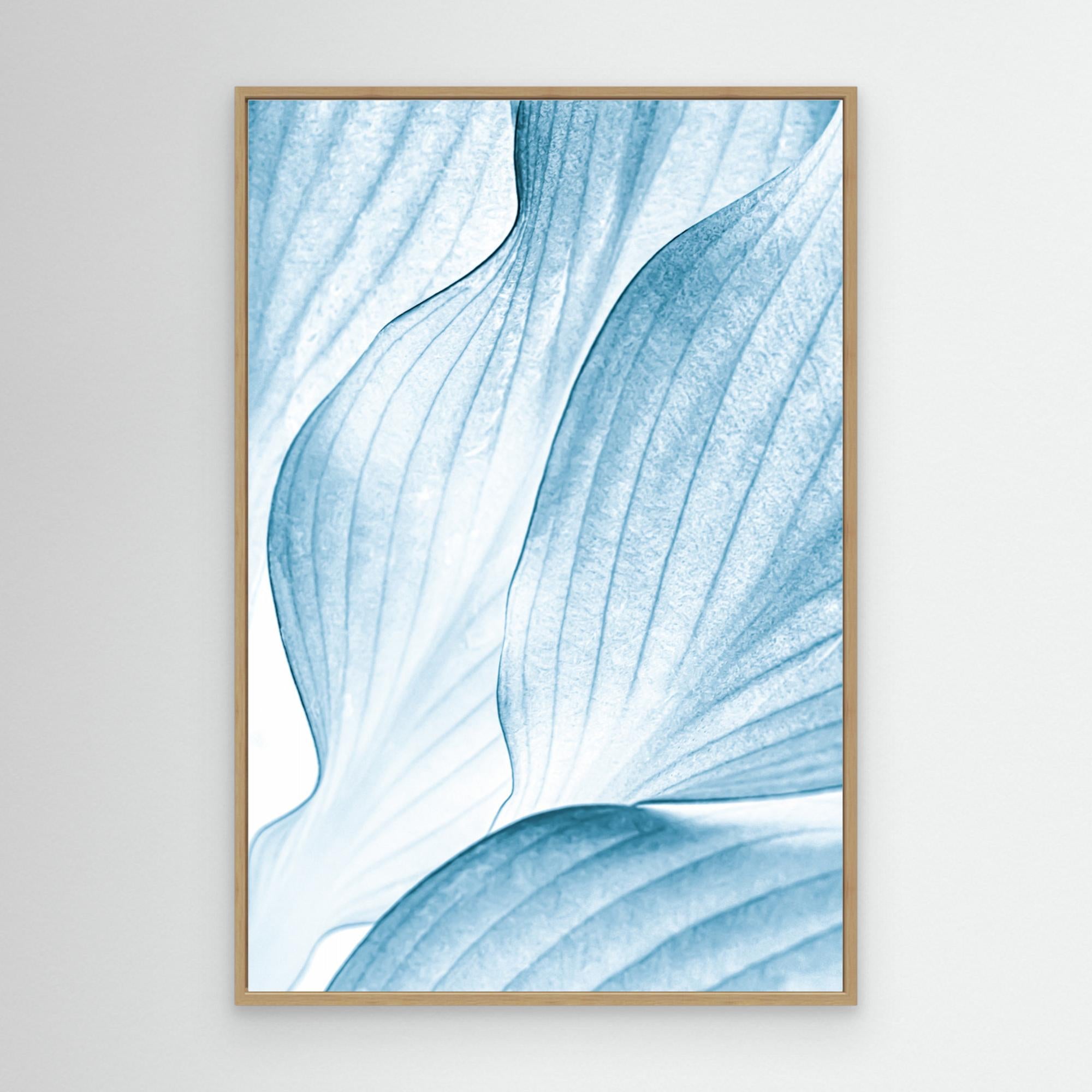Icy Waves by Beth Buelow Canvas