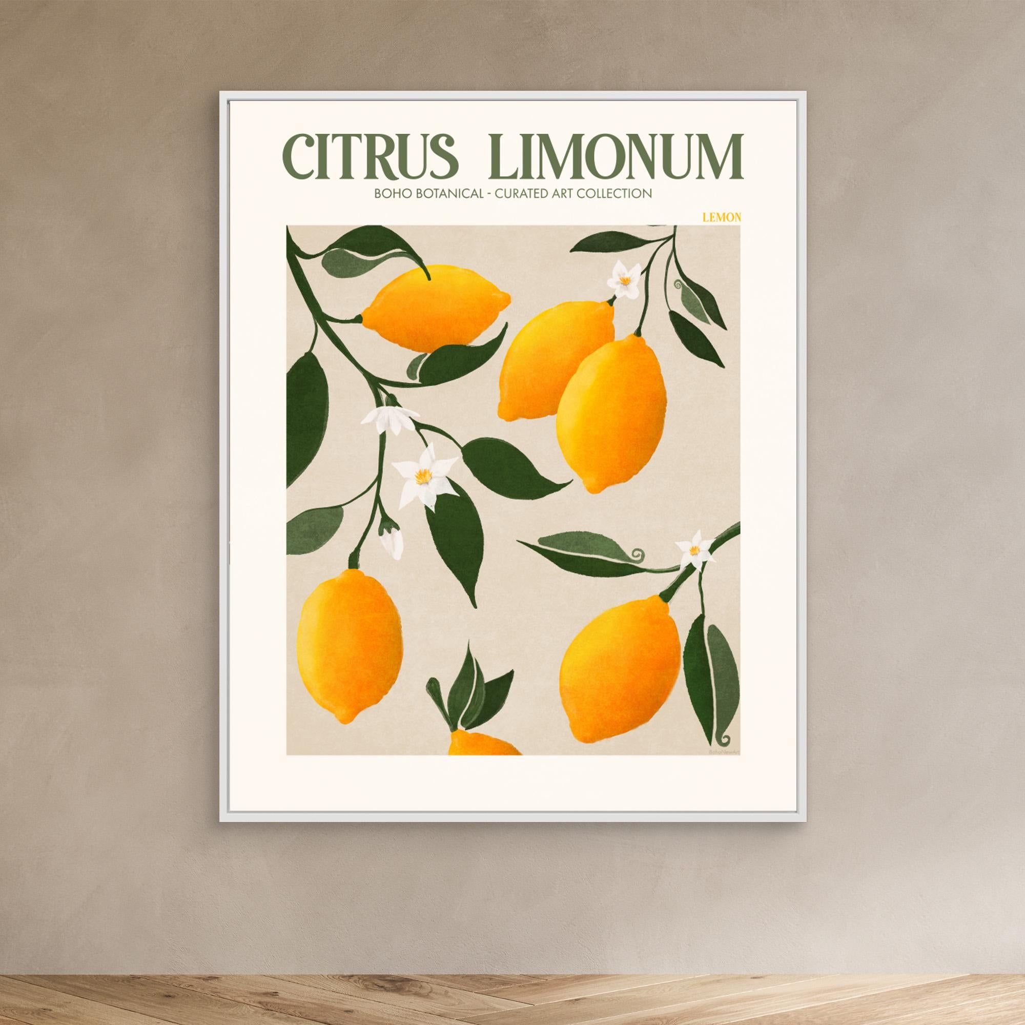 Citrus Limonum - Lemon by Emel Tunaboylu