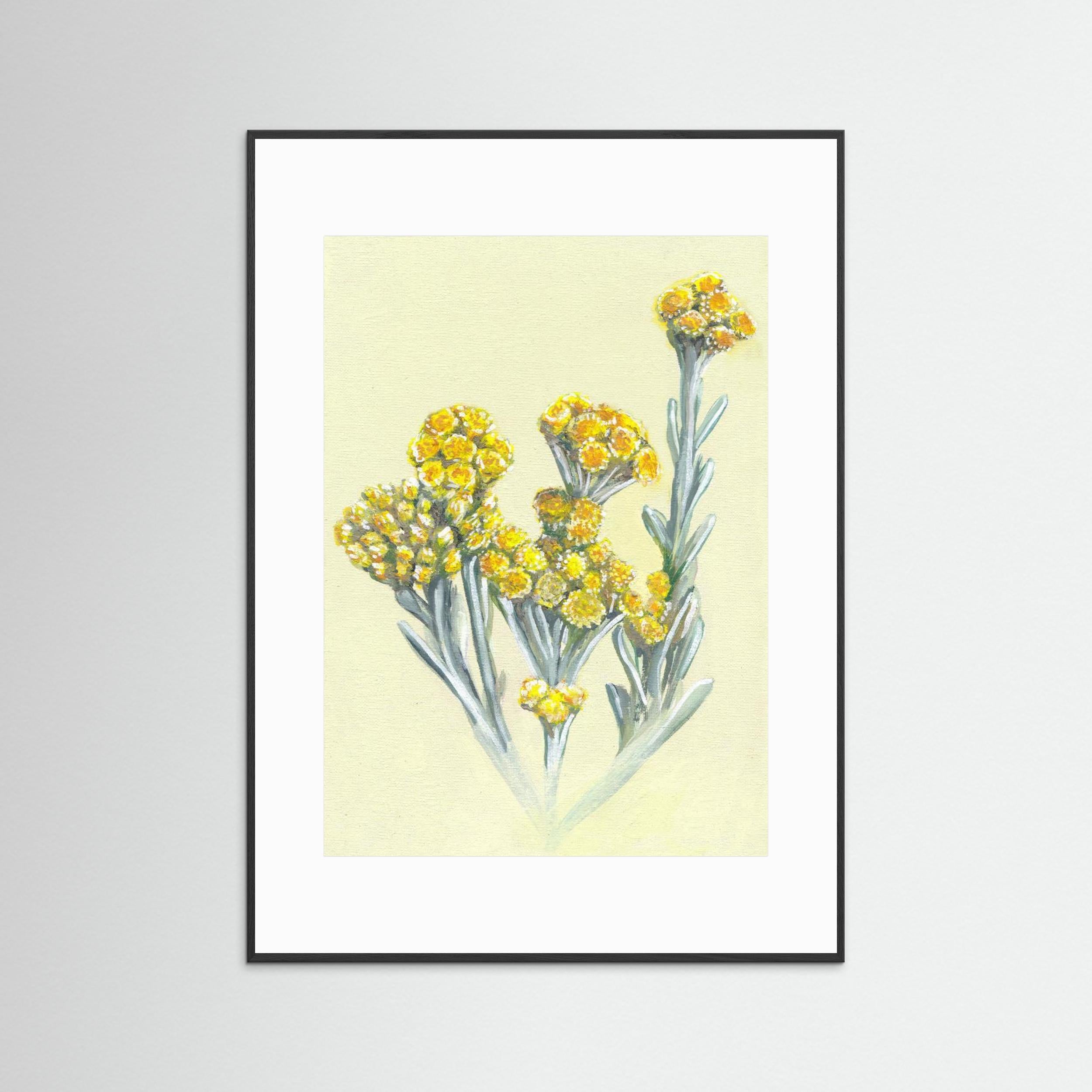 Cape Gold by Viccy Wanliss Fine Art Paper
