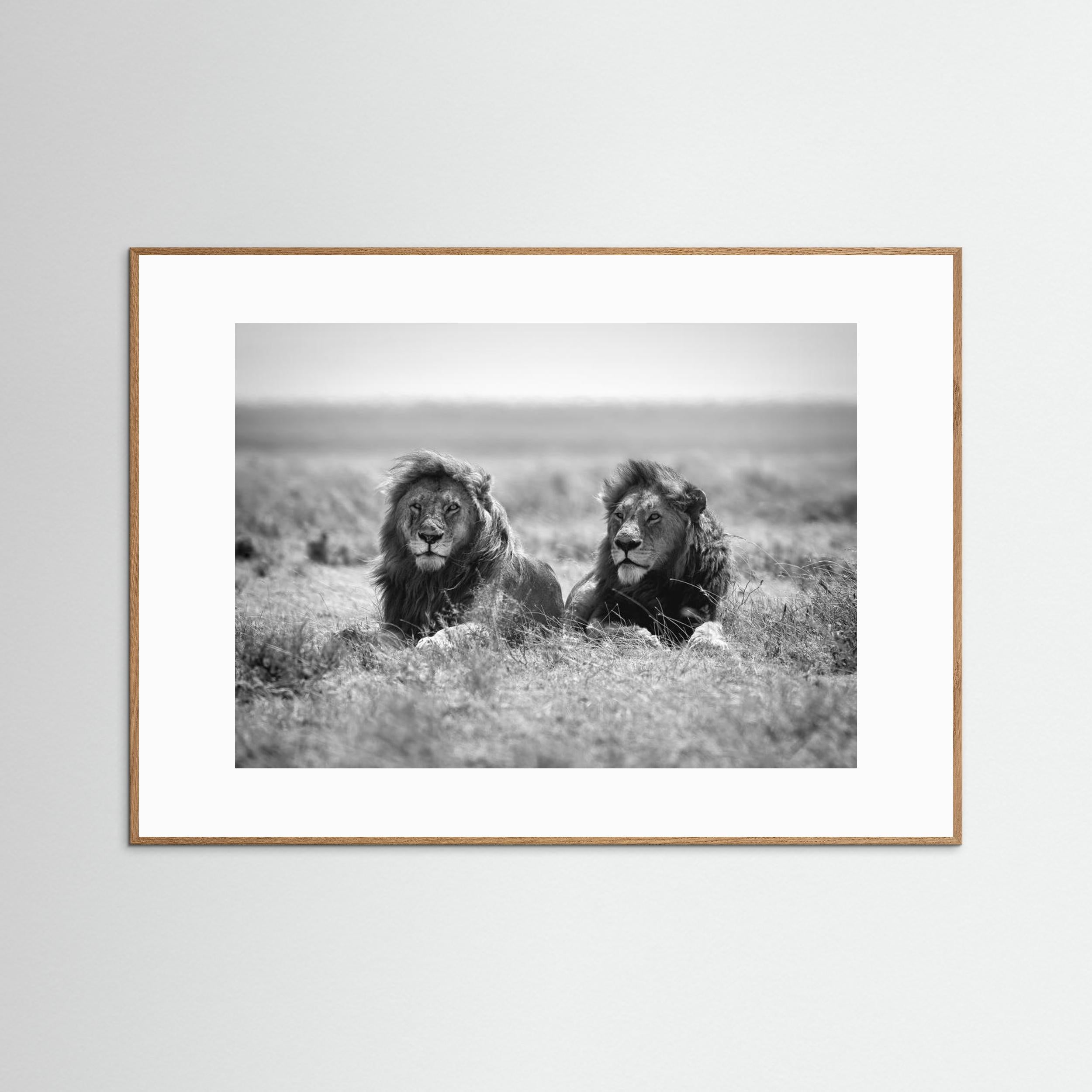 Two kings by Nicolás Merino Fine Art Paper 