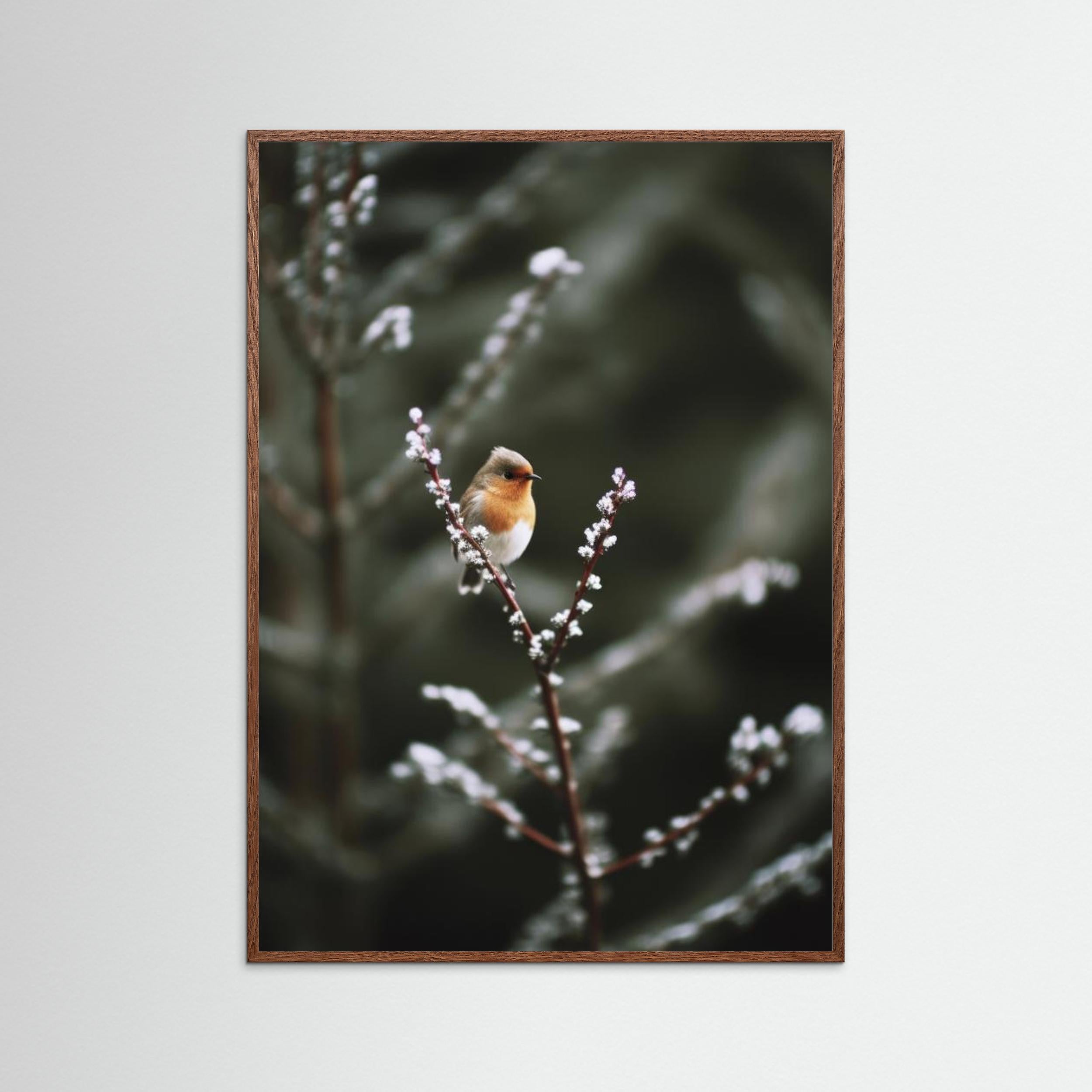 Cute Robin by Treechild. Fine Art Paper