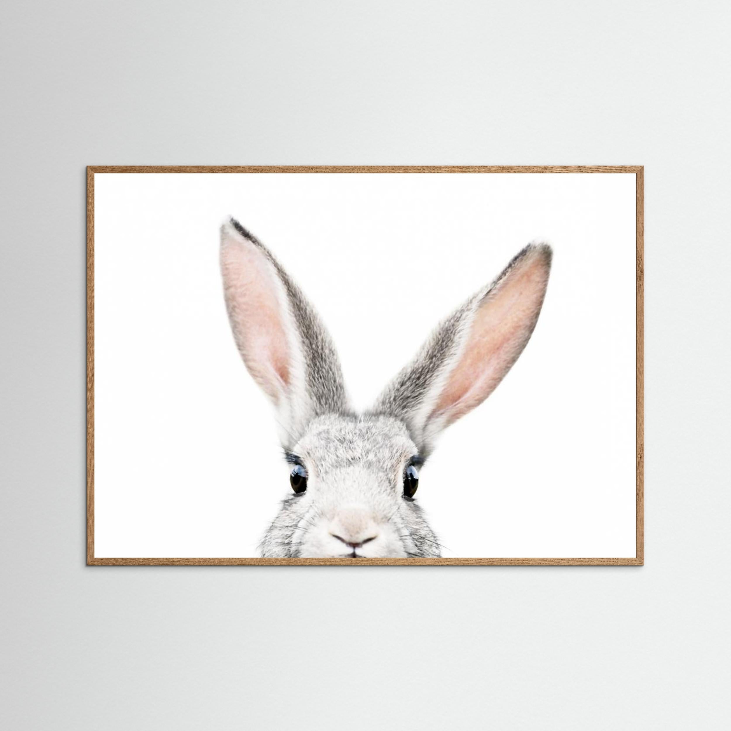 Peeking Bunny by Kathrin Pienaar Fine Art Paper 