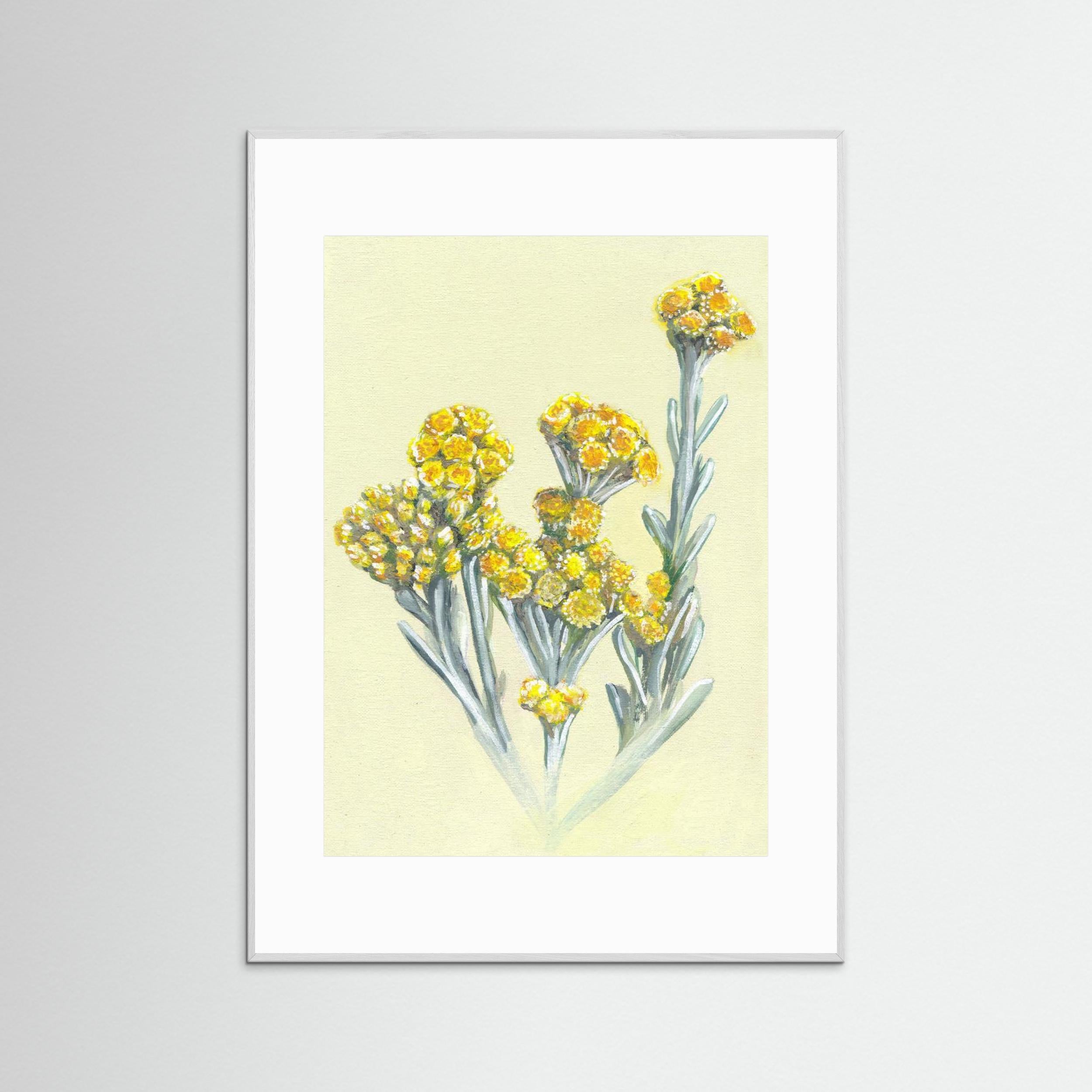 Cape Gold by Viccy Wanliss Fine Art Paper