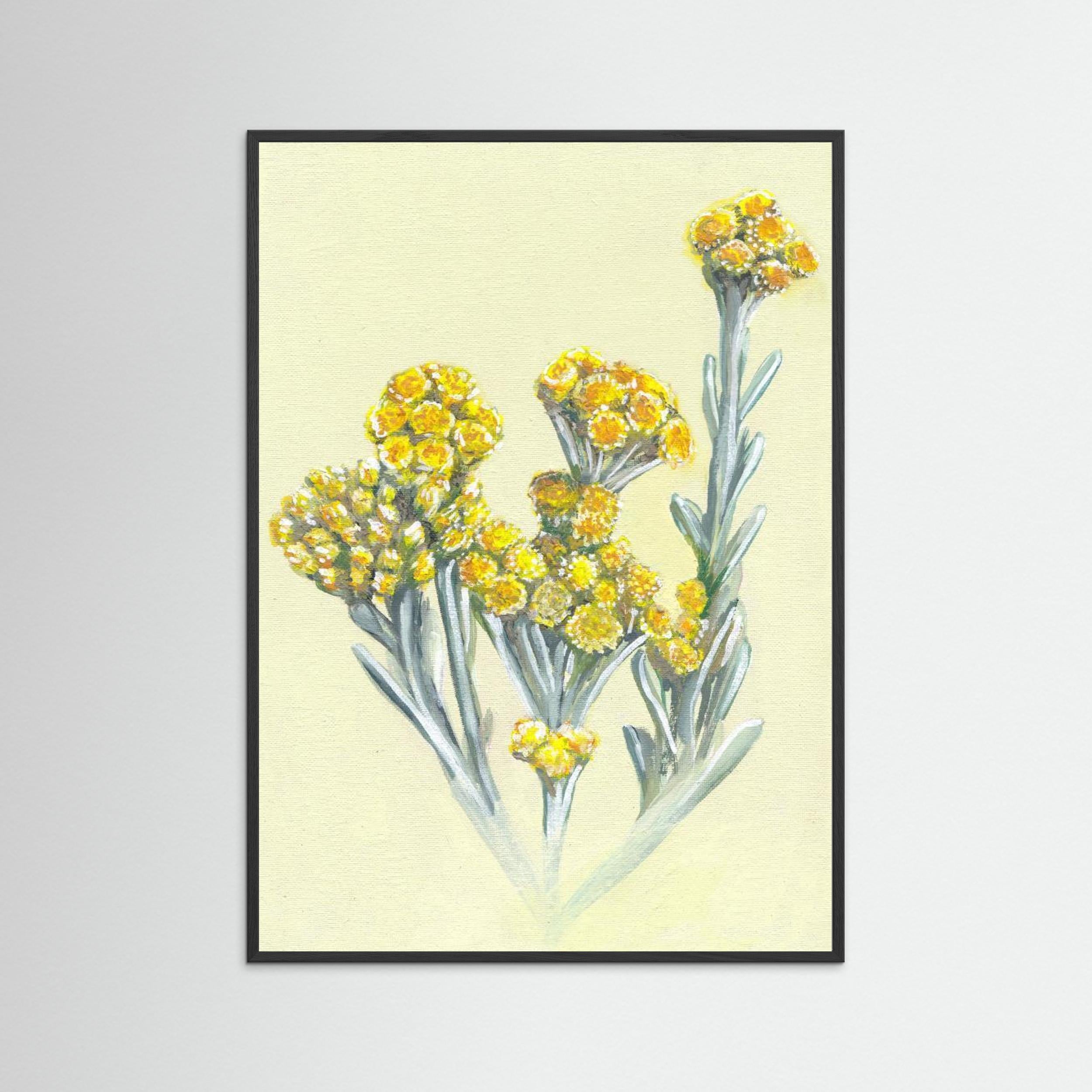 Cape Gold by Viccy Wanliss Fine Art Paper