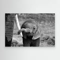 Close by Bjoern Alicke Canvas