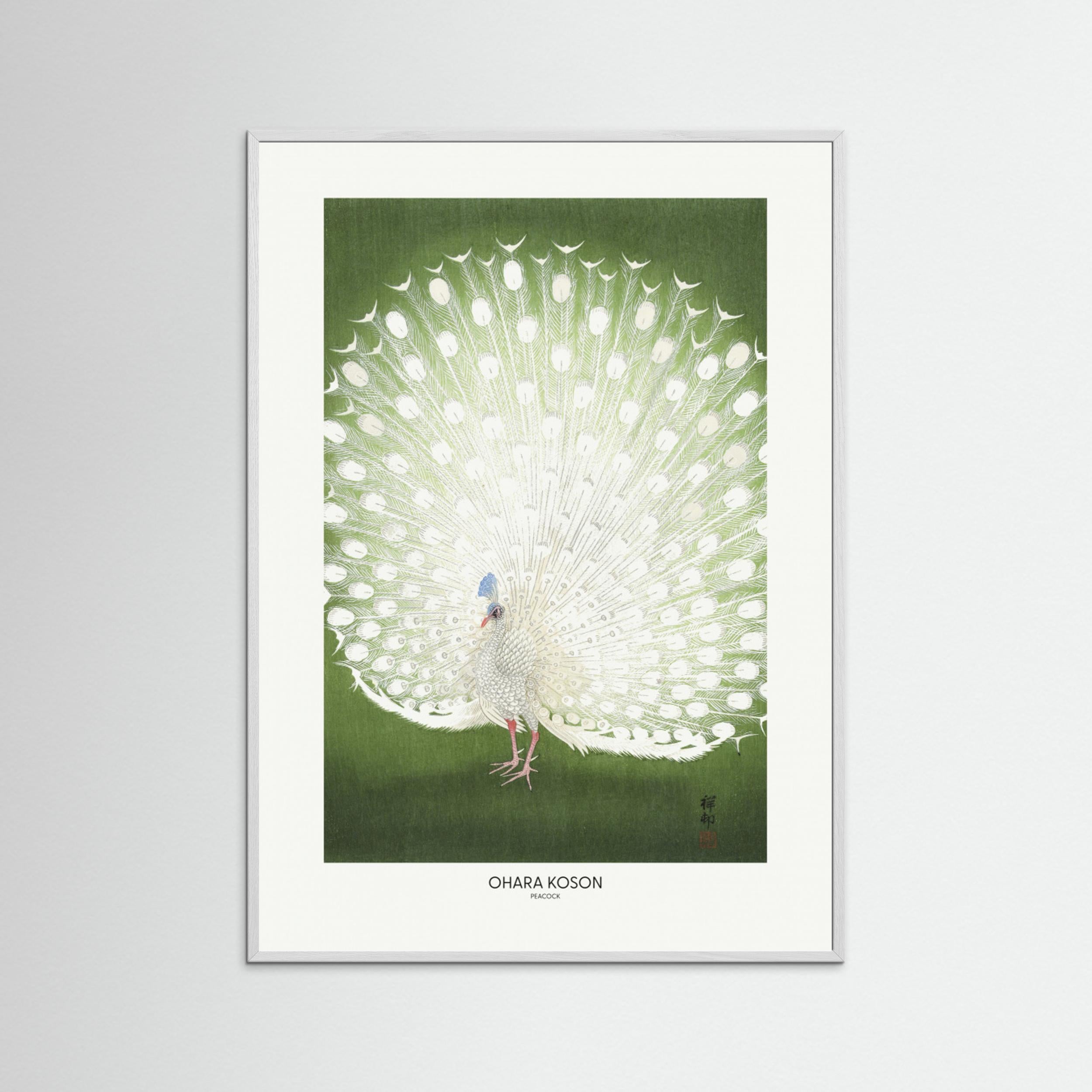 Peacock - Cropped by Pictufy