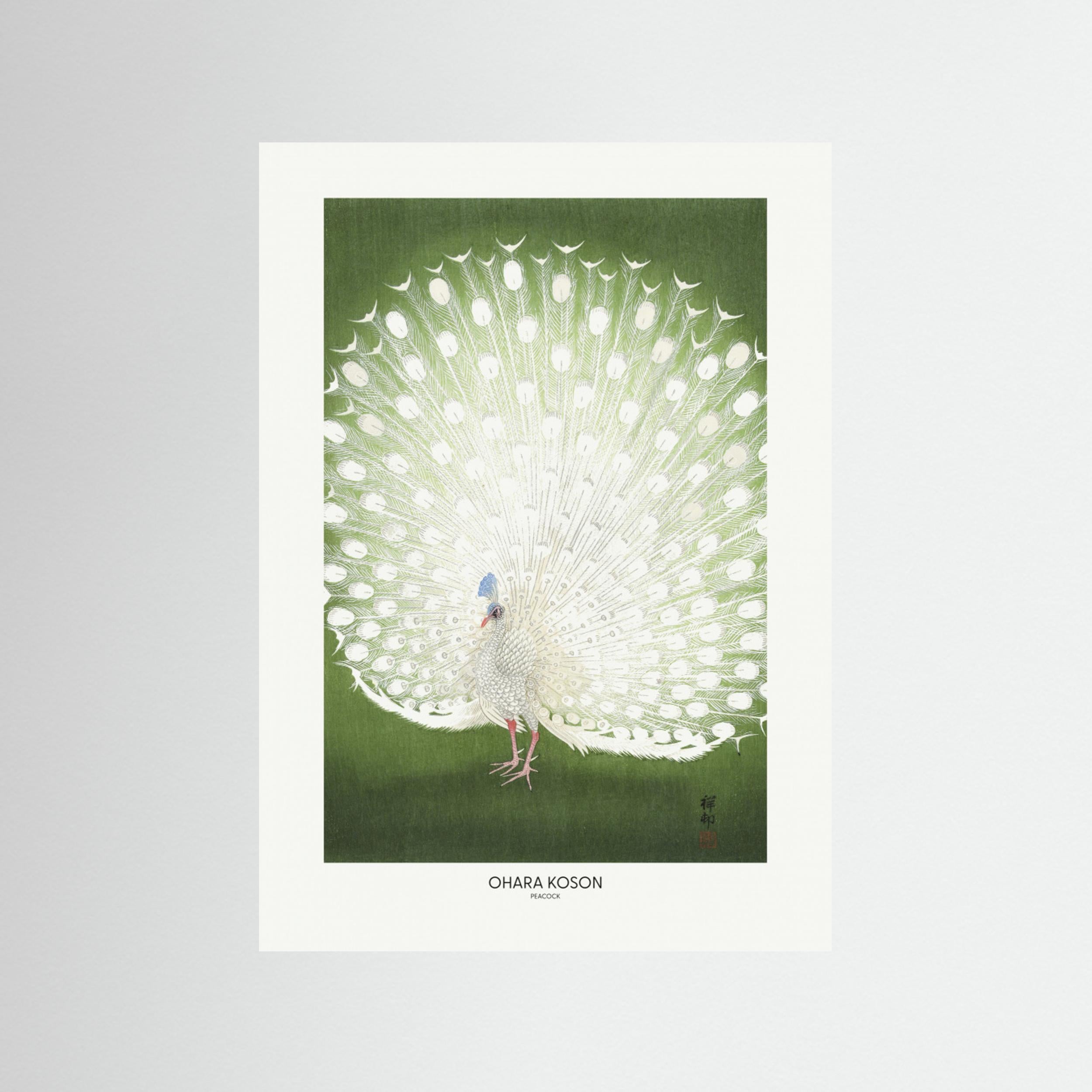 Peacock - Cropped Fine Art Paper 