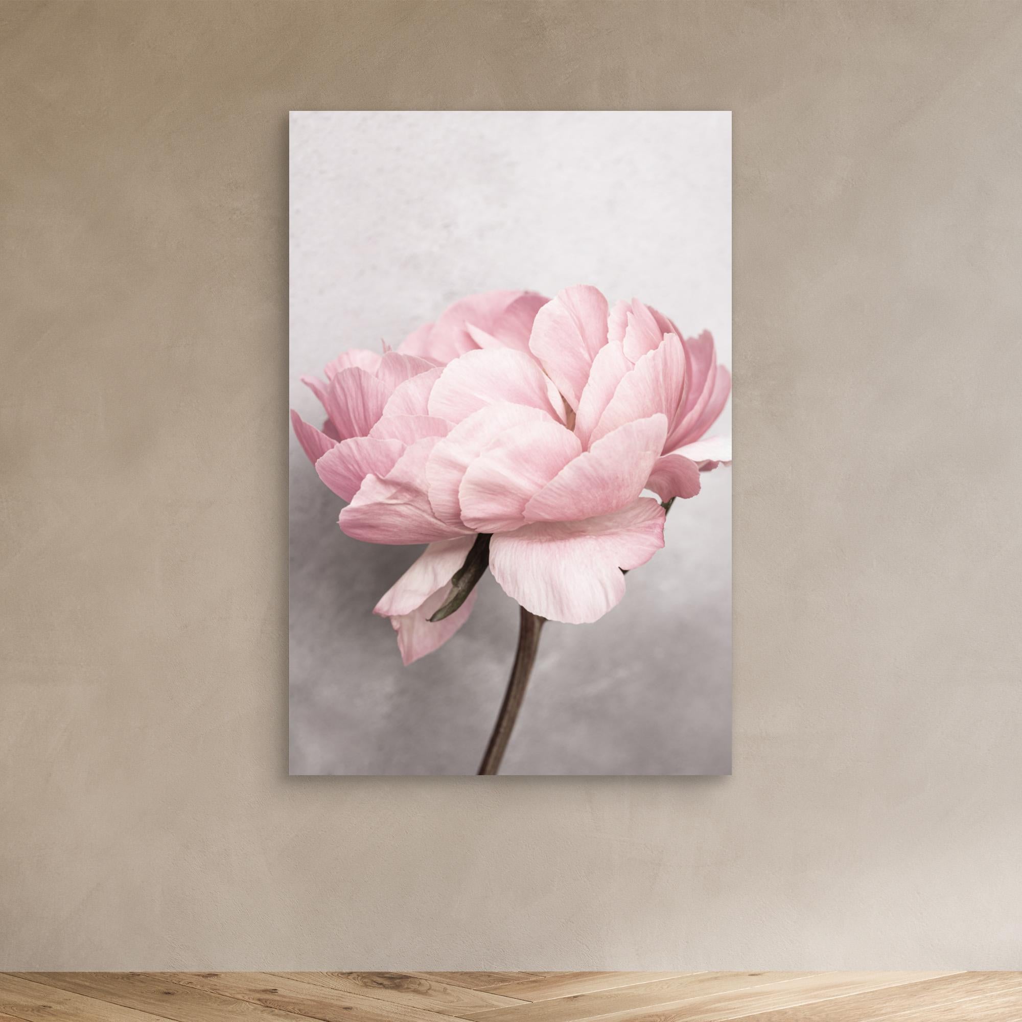 Peony by Kathrin Pienaar